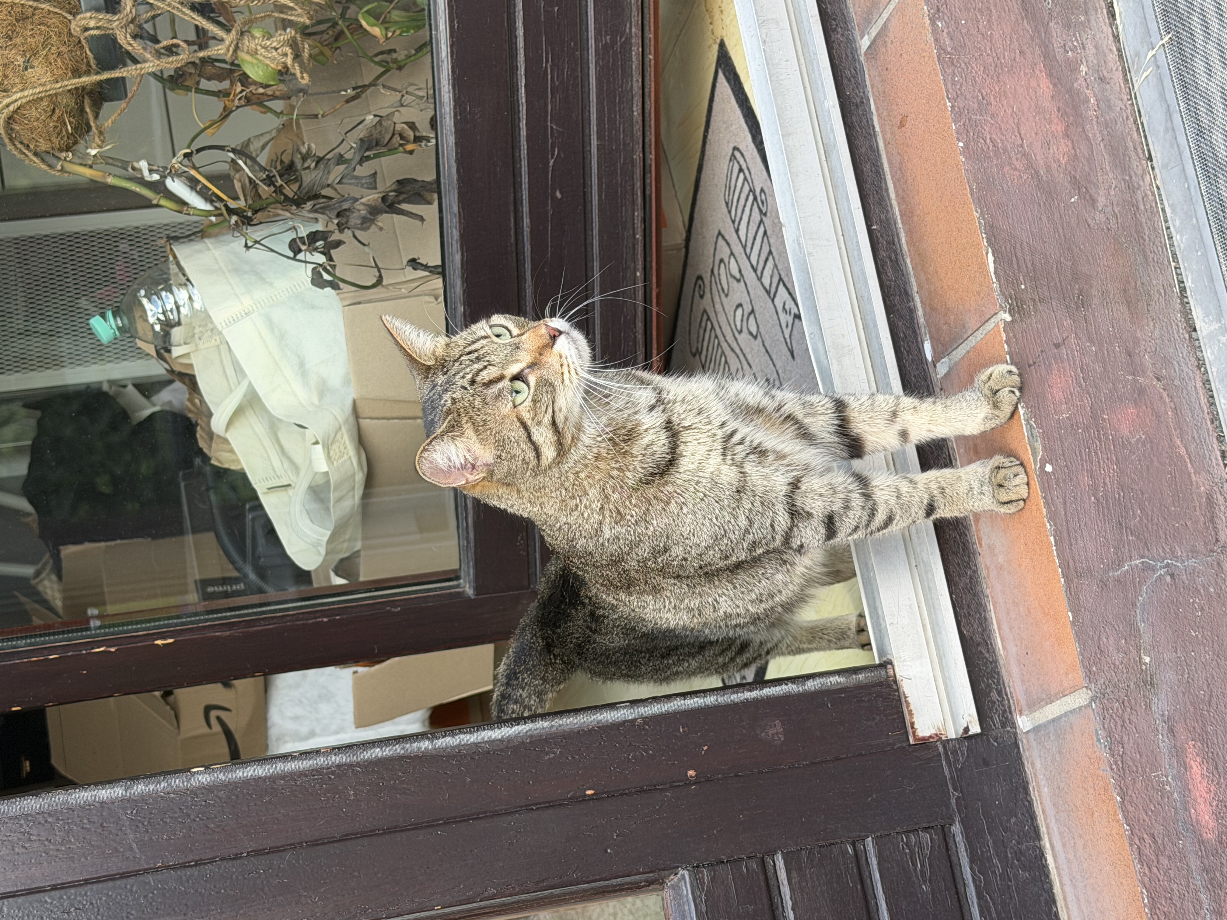 image-16