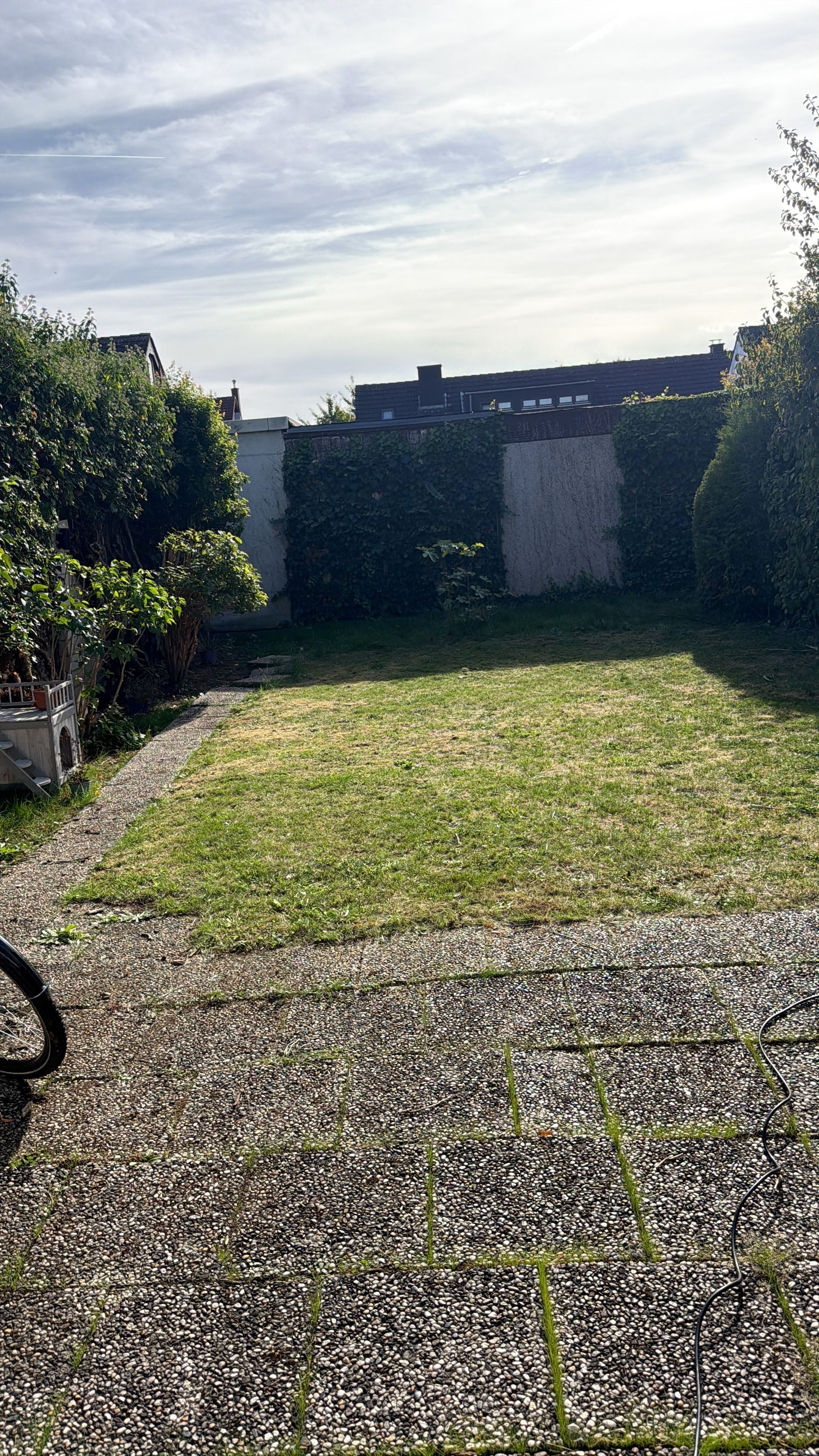 image-18