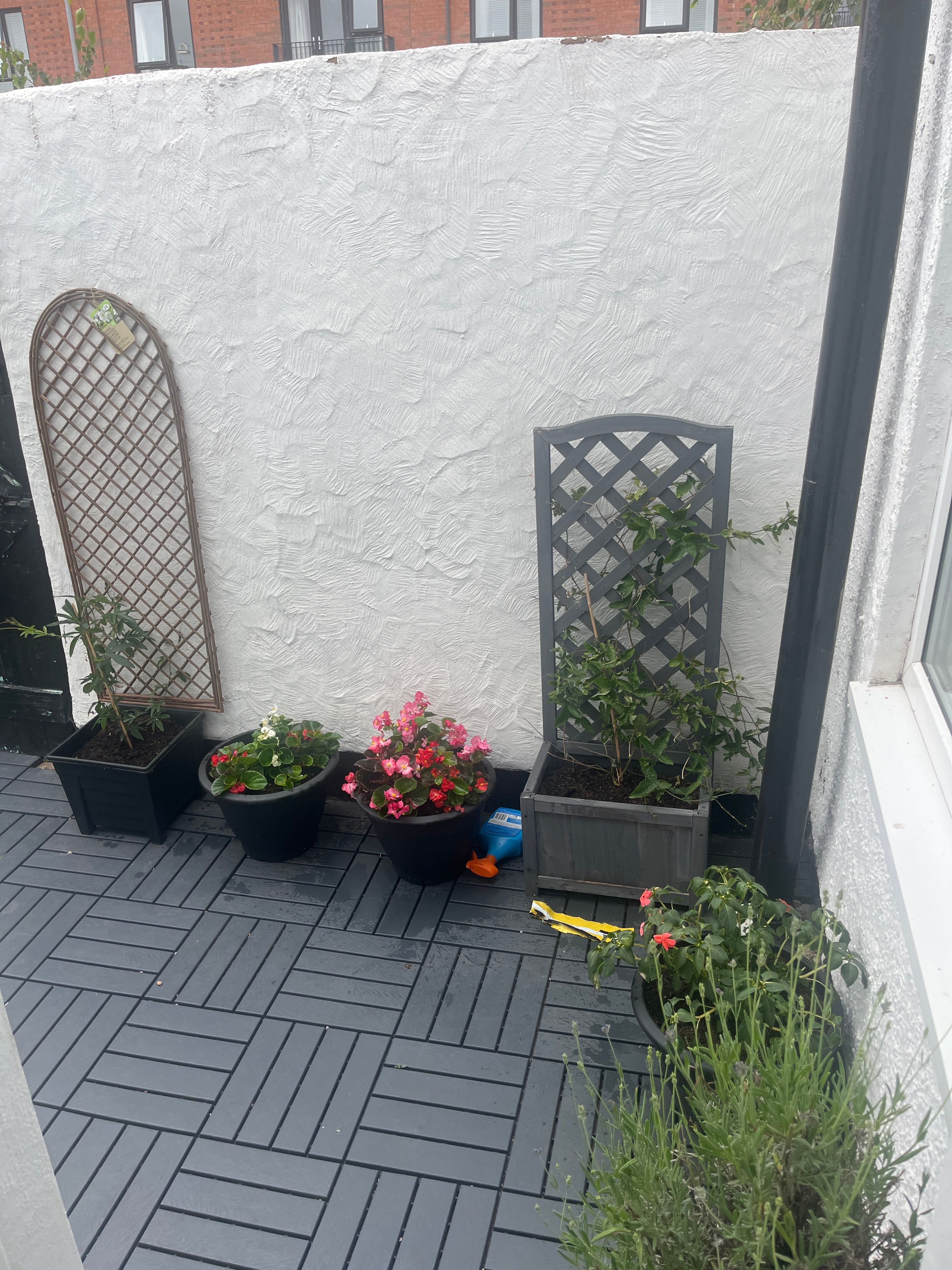 image-27