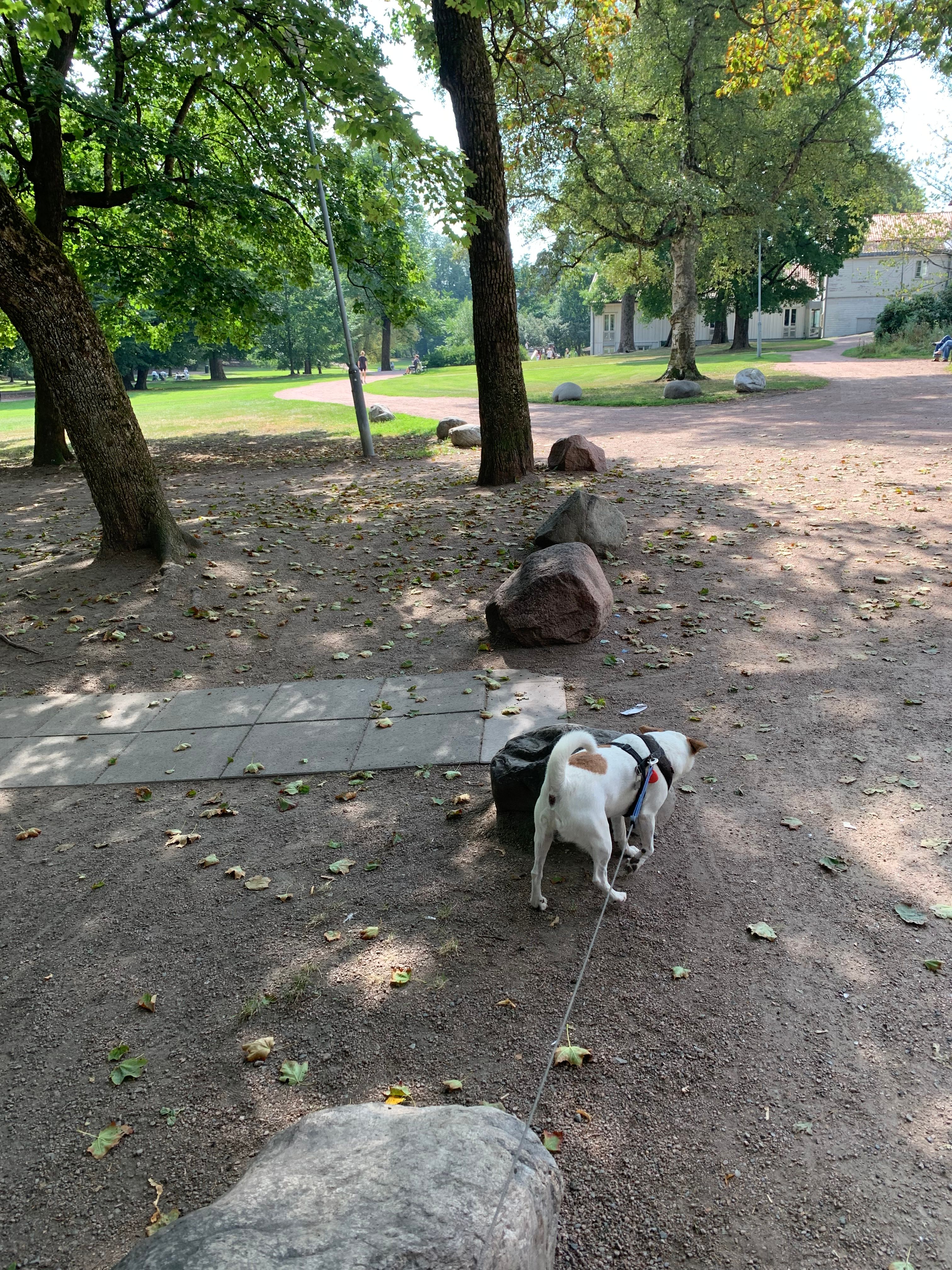 image-10