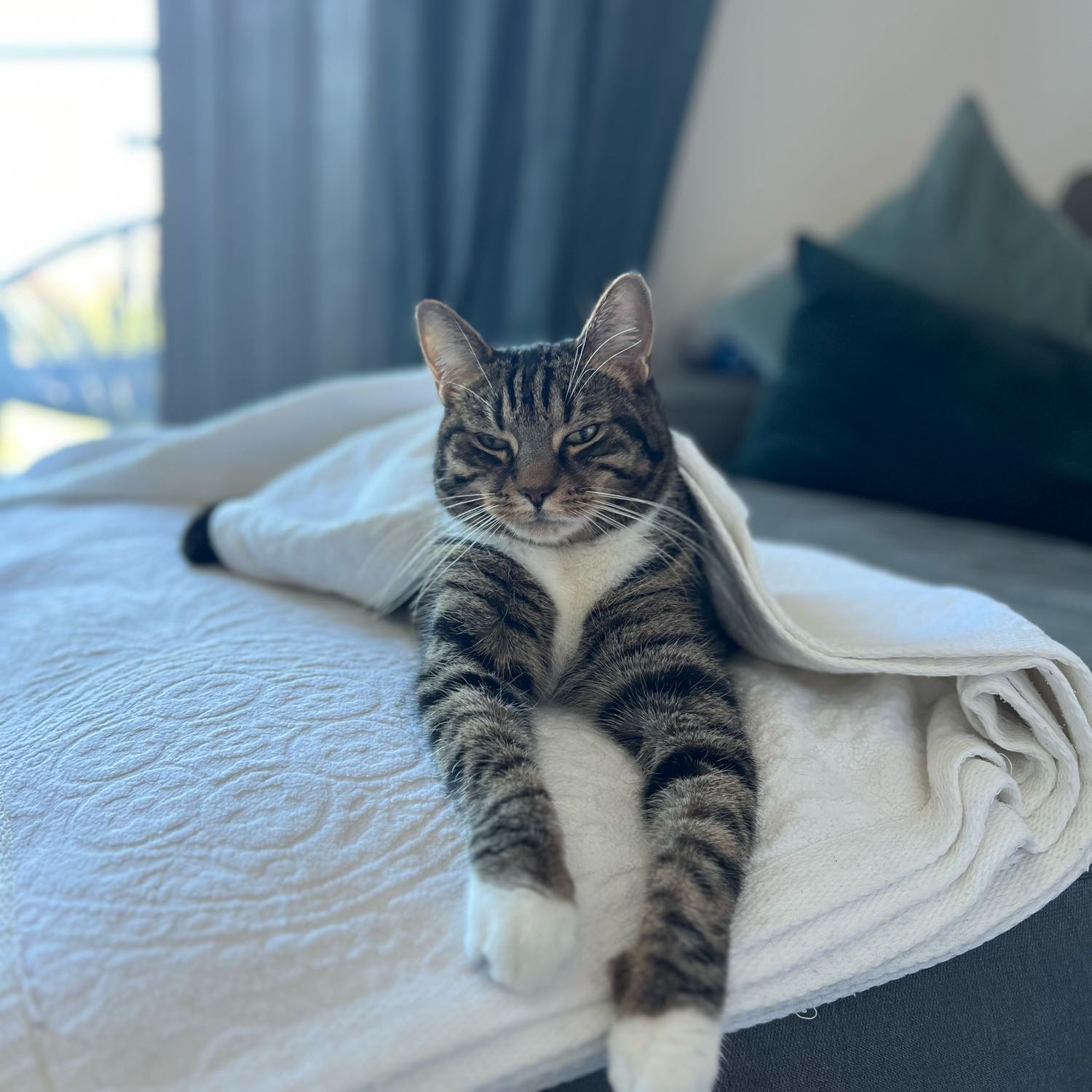 Diego