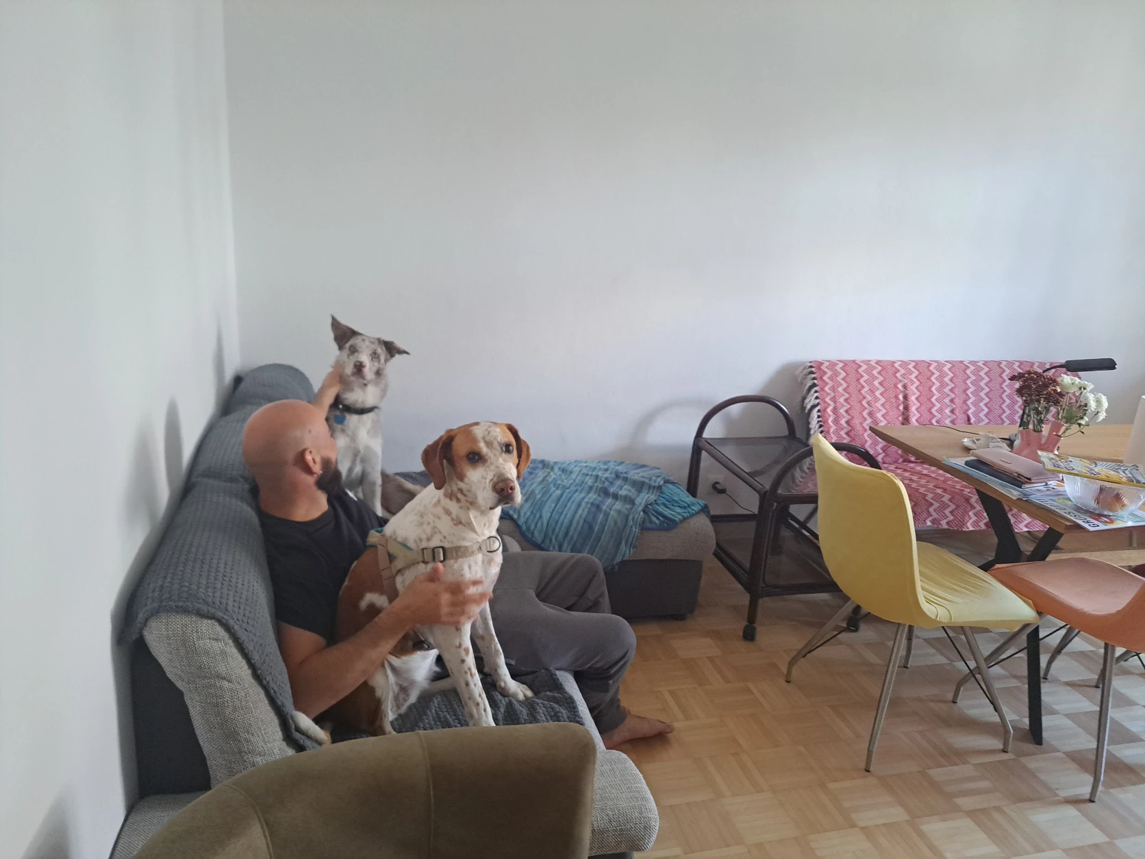 image-20