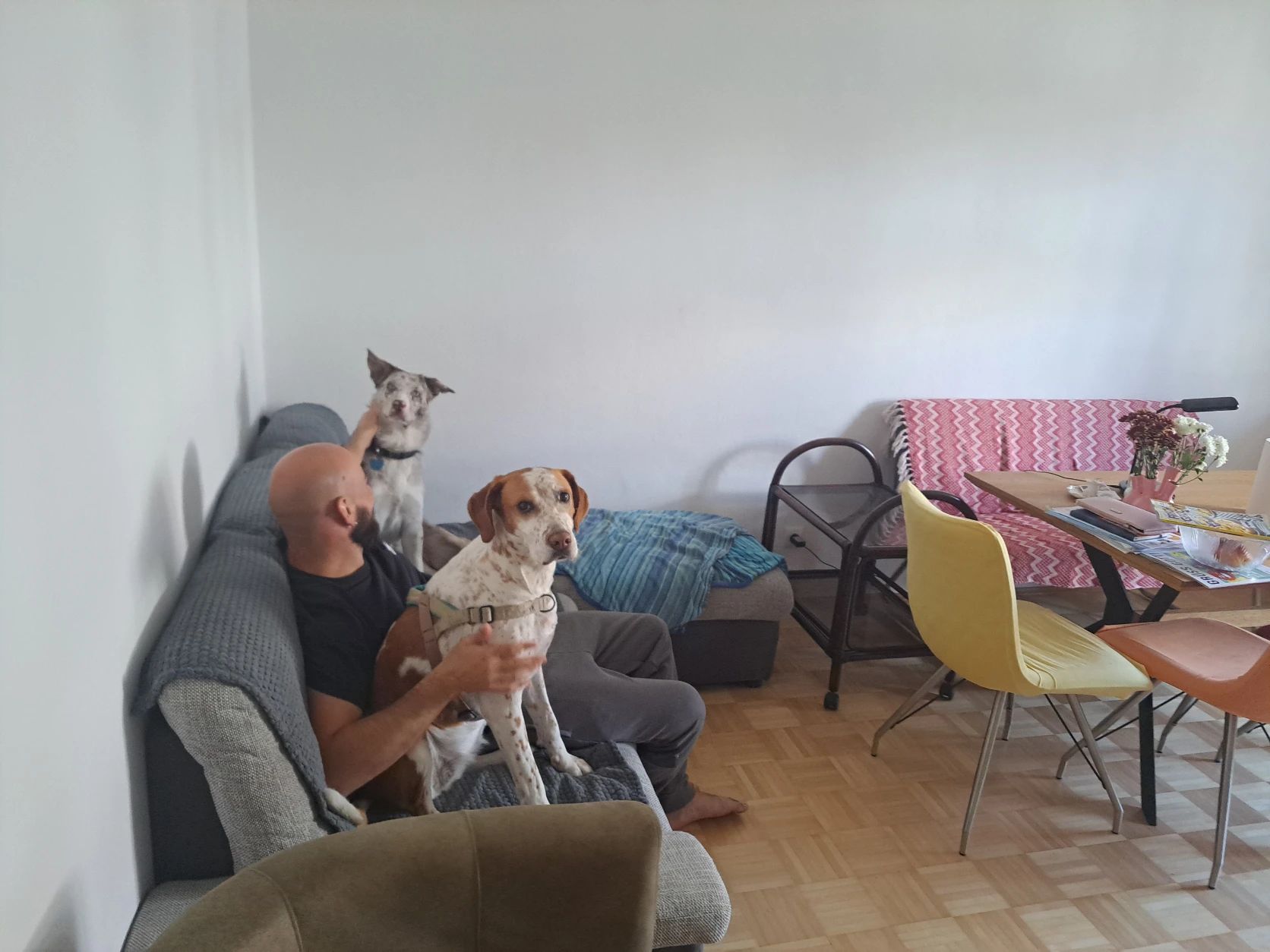 image-20