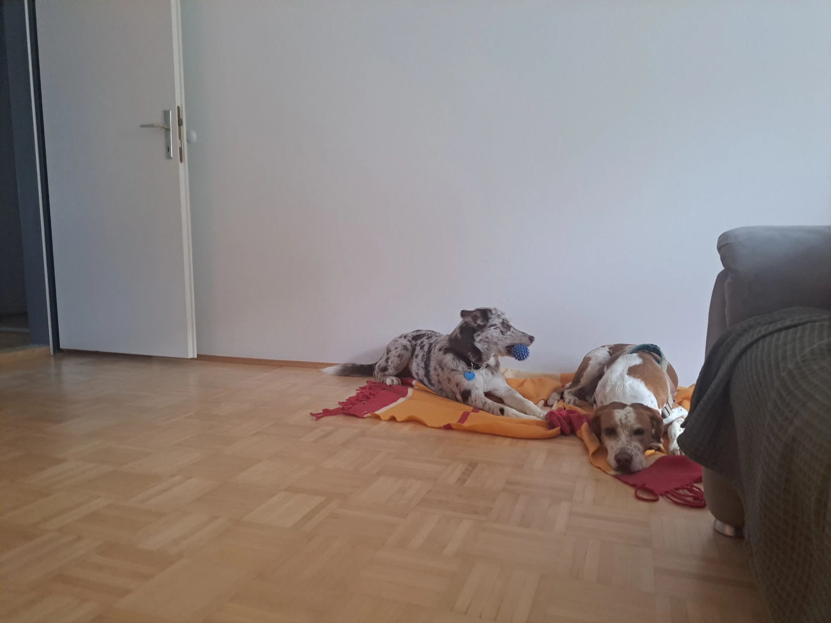 image-19