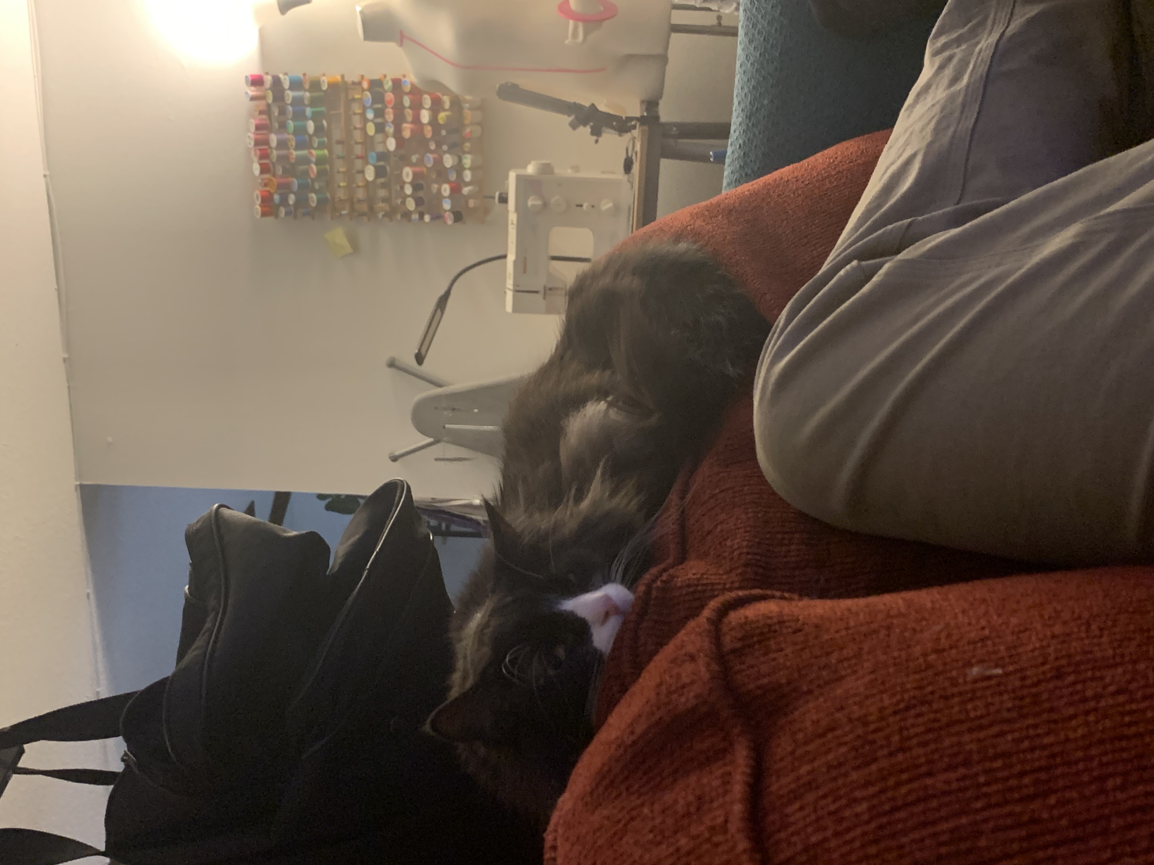 image-7