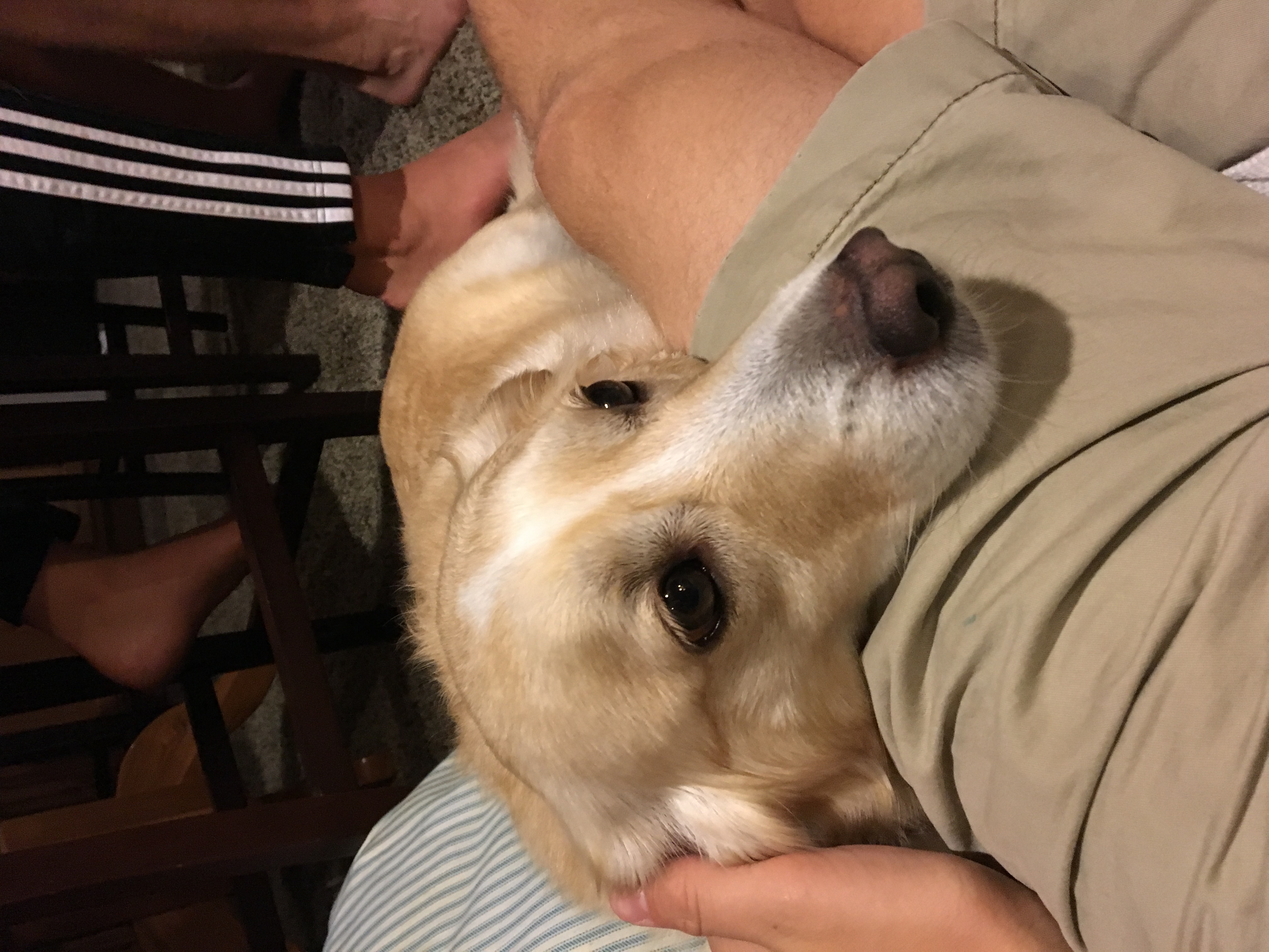 image-8