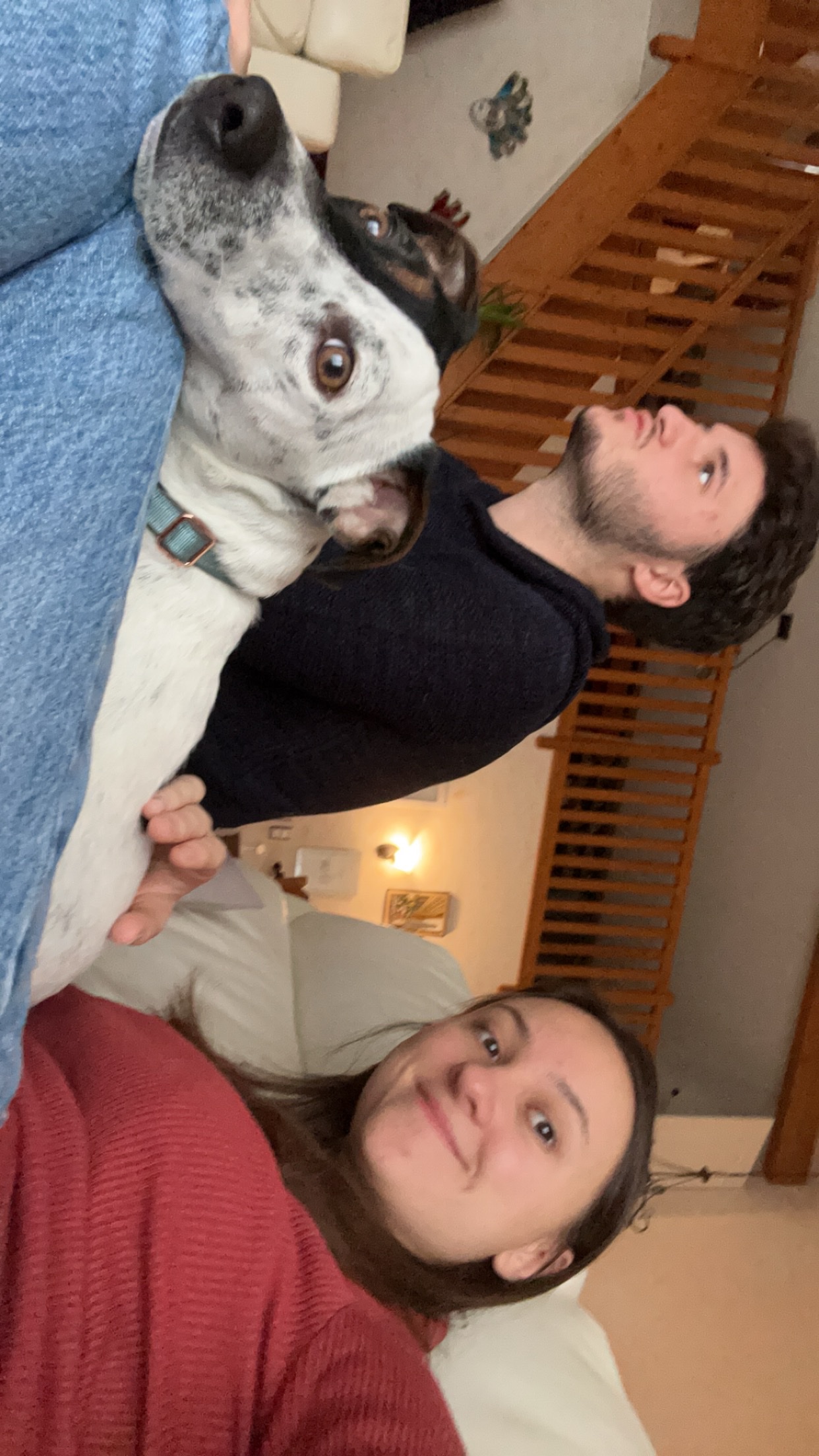 image-6