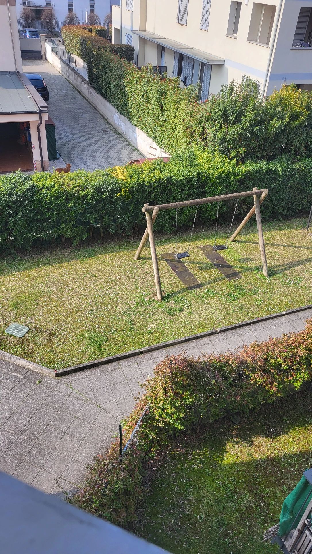image-10