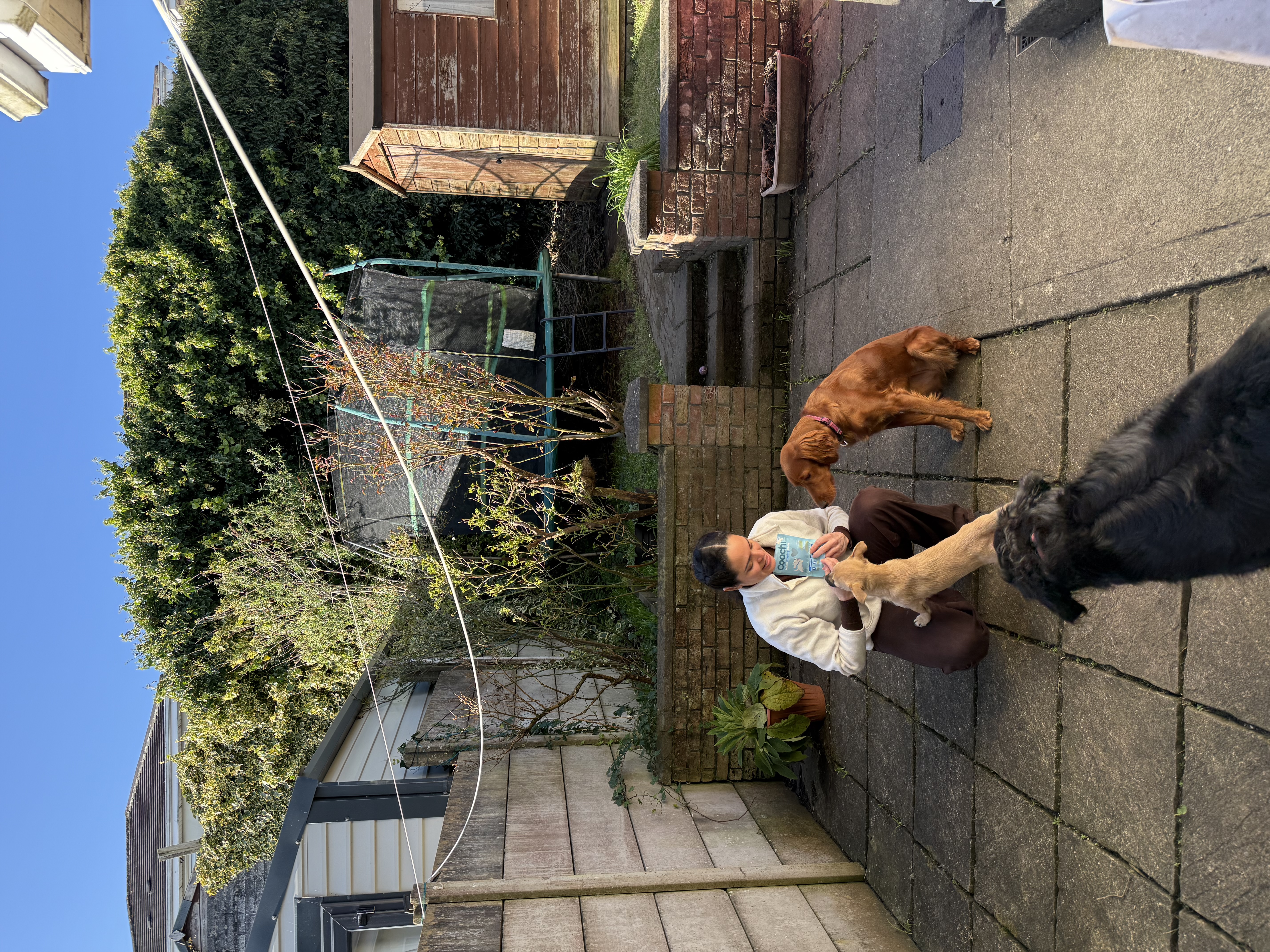 image-28