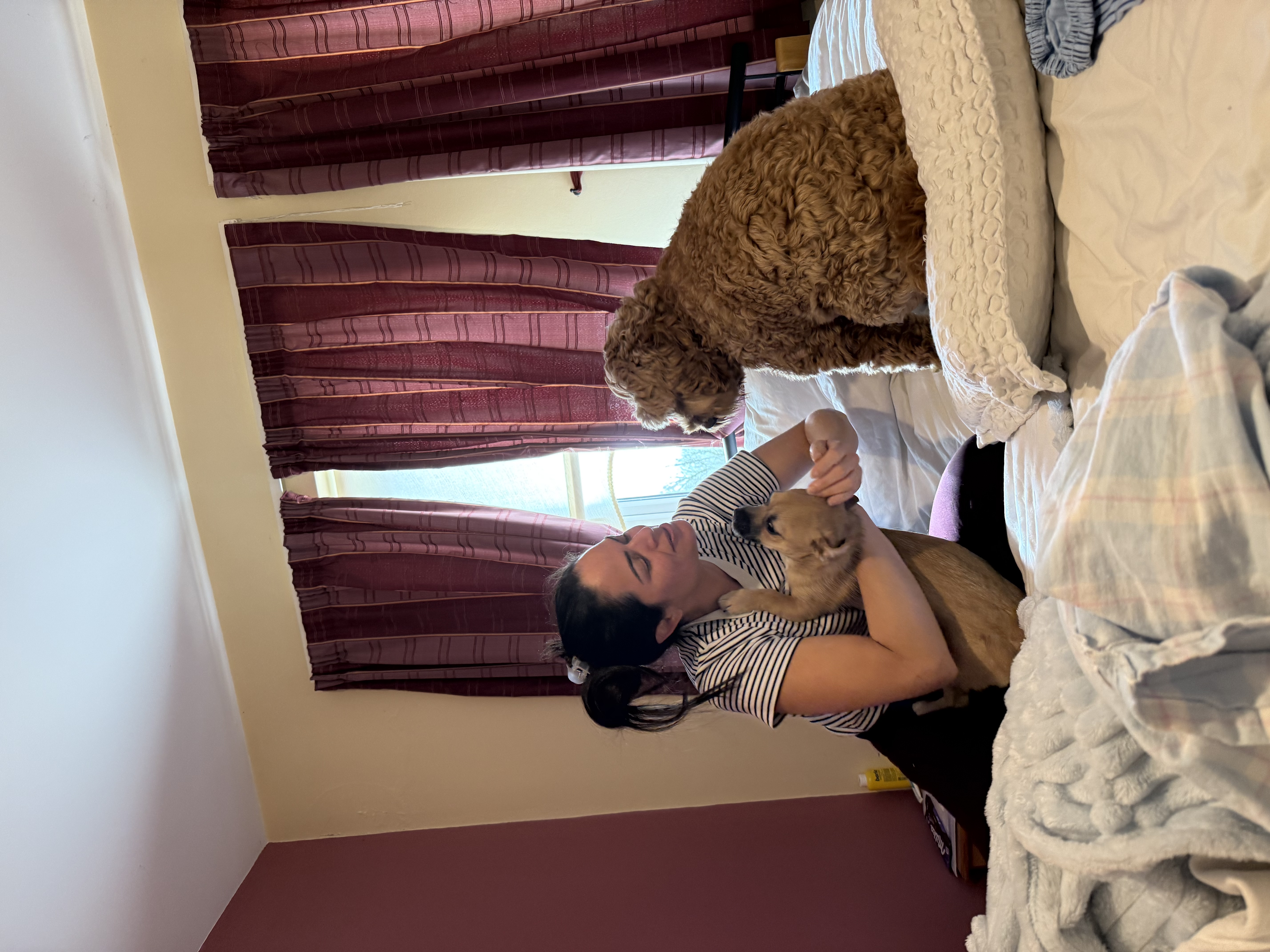image-38