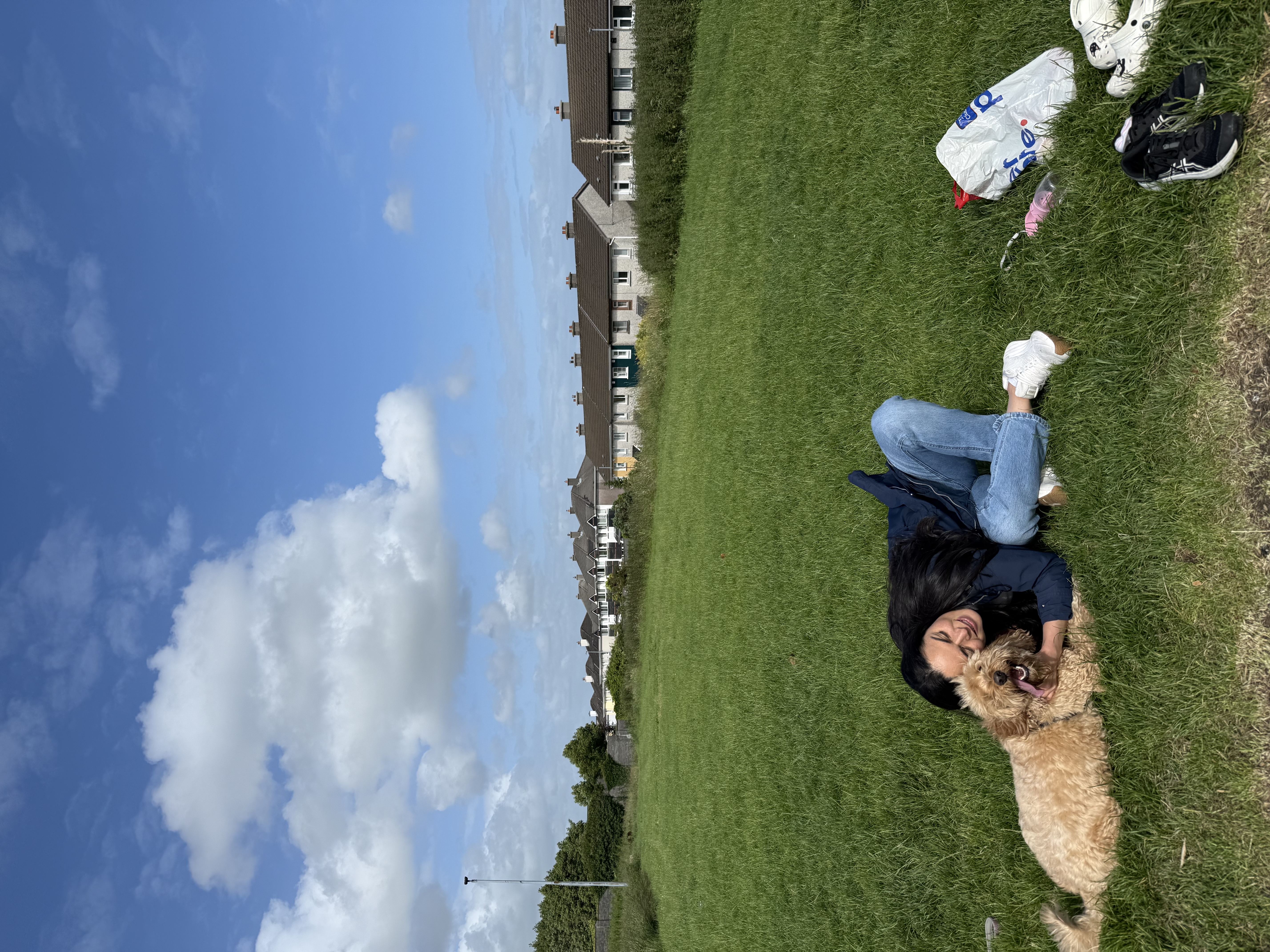 image-49