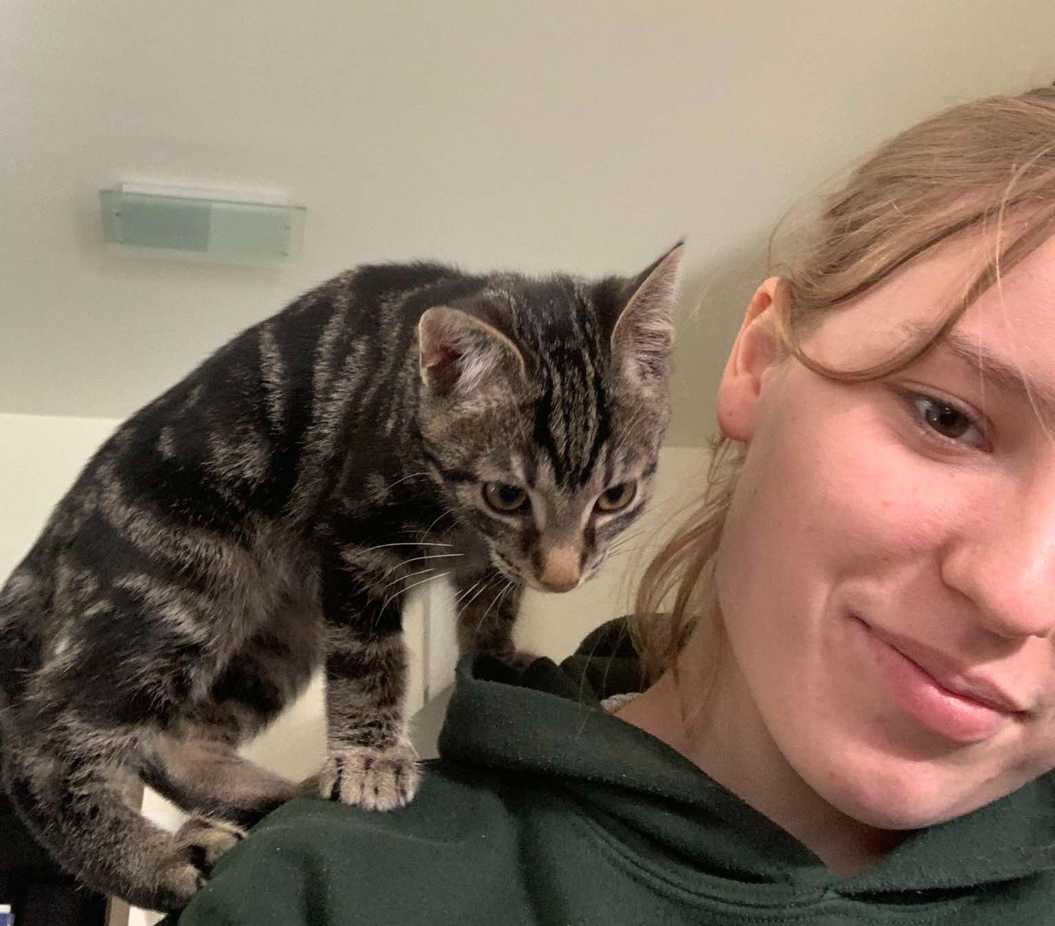 image-6