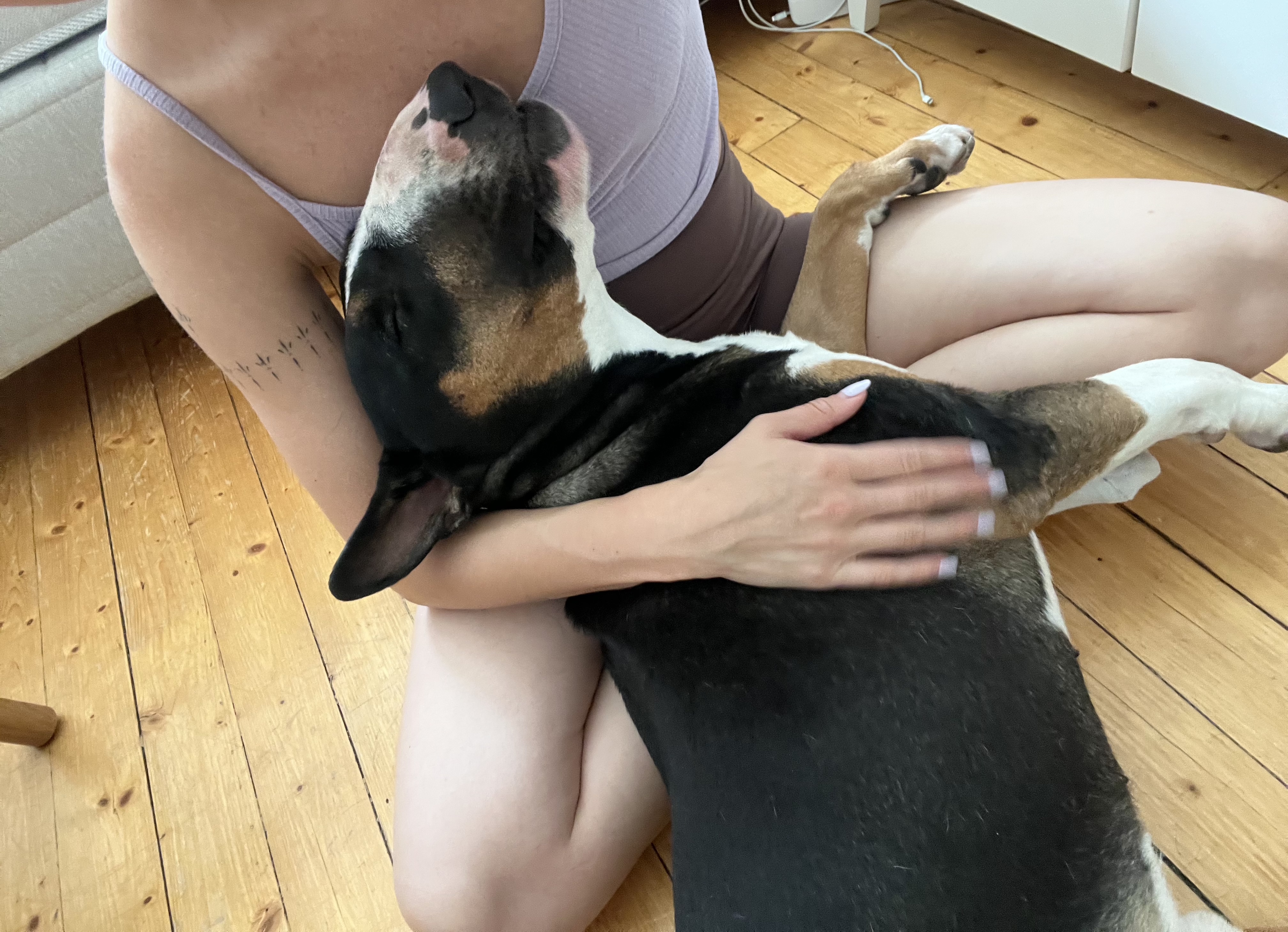 image-5
