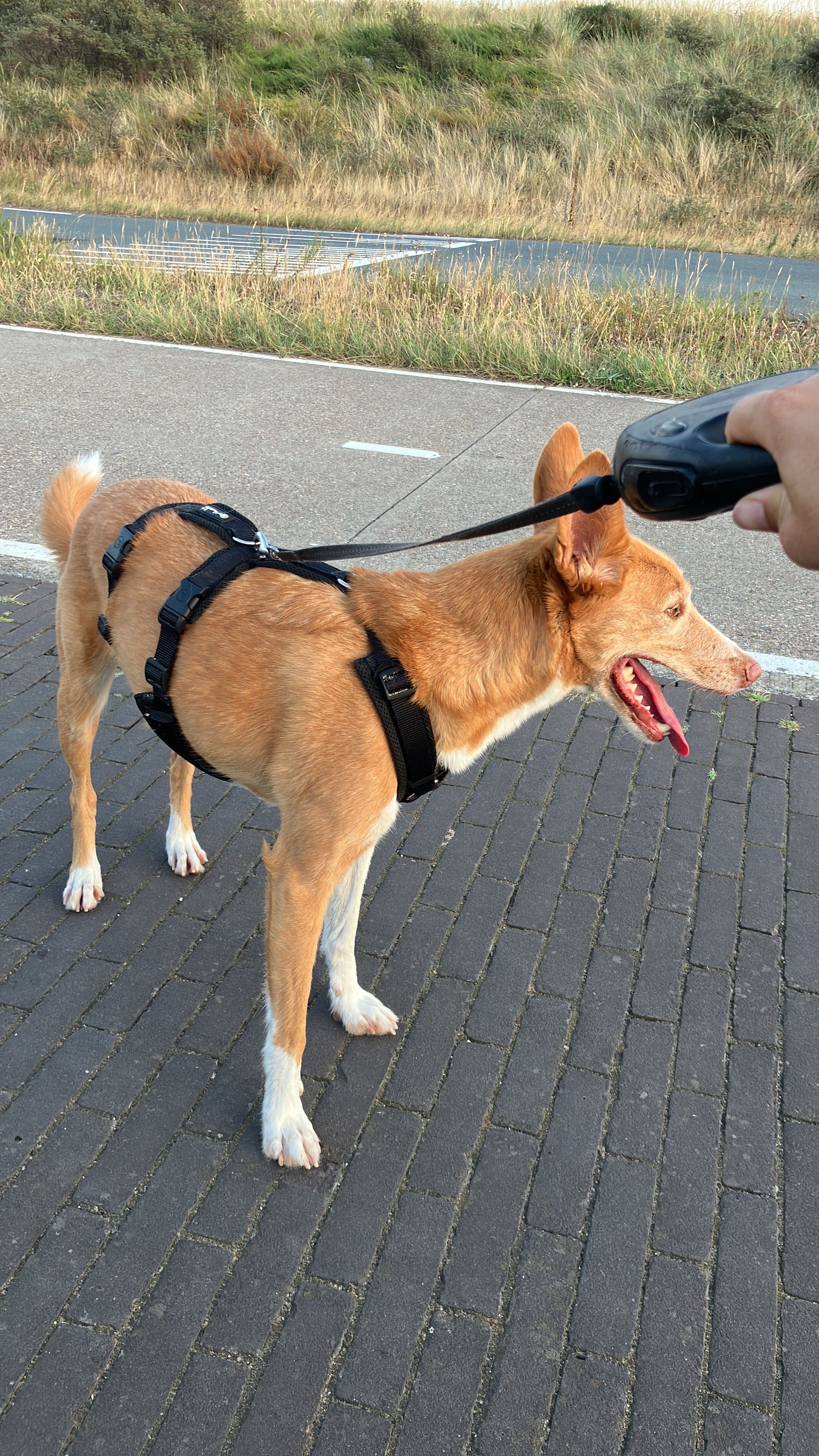 image-6