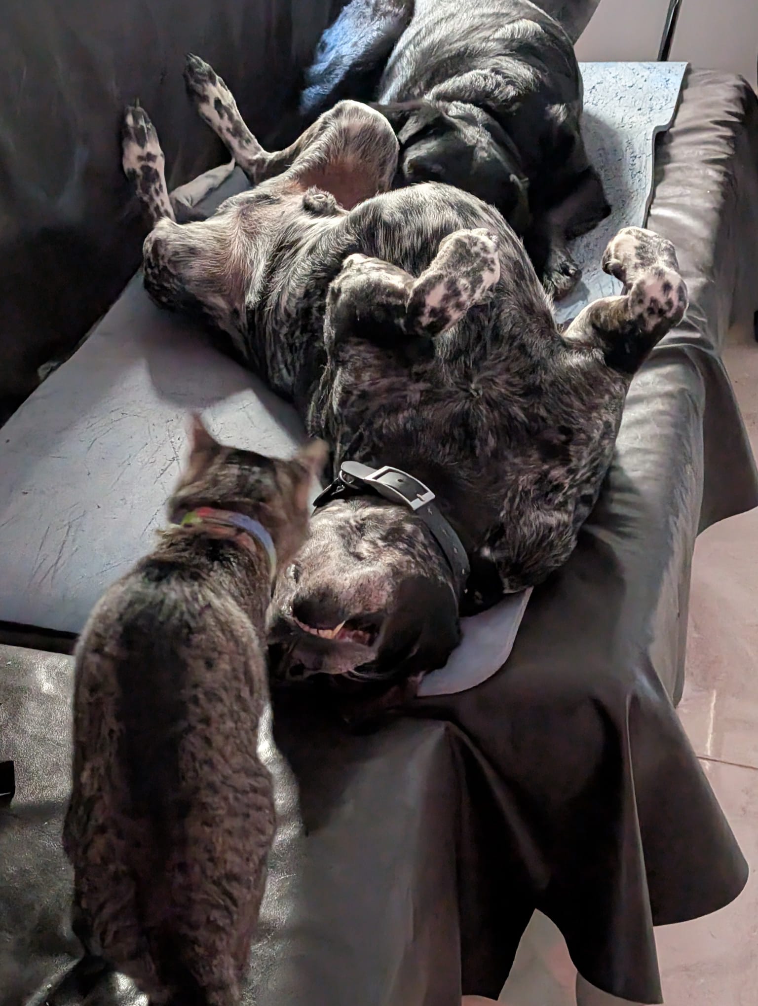 image-6