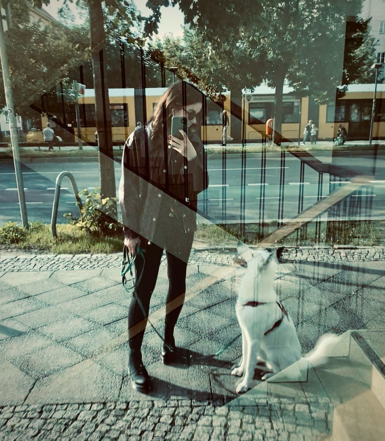 image-7