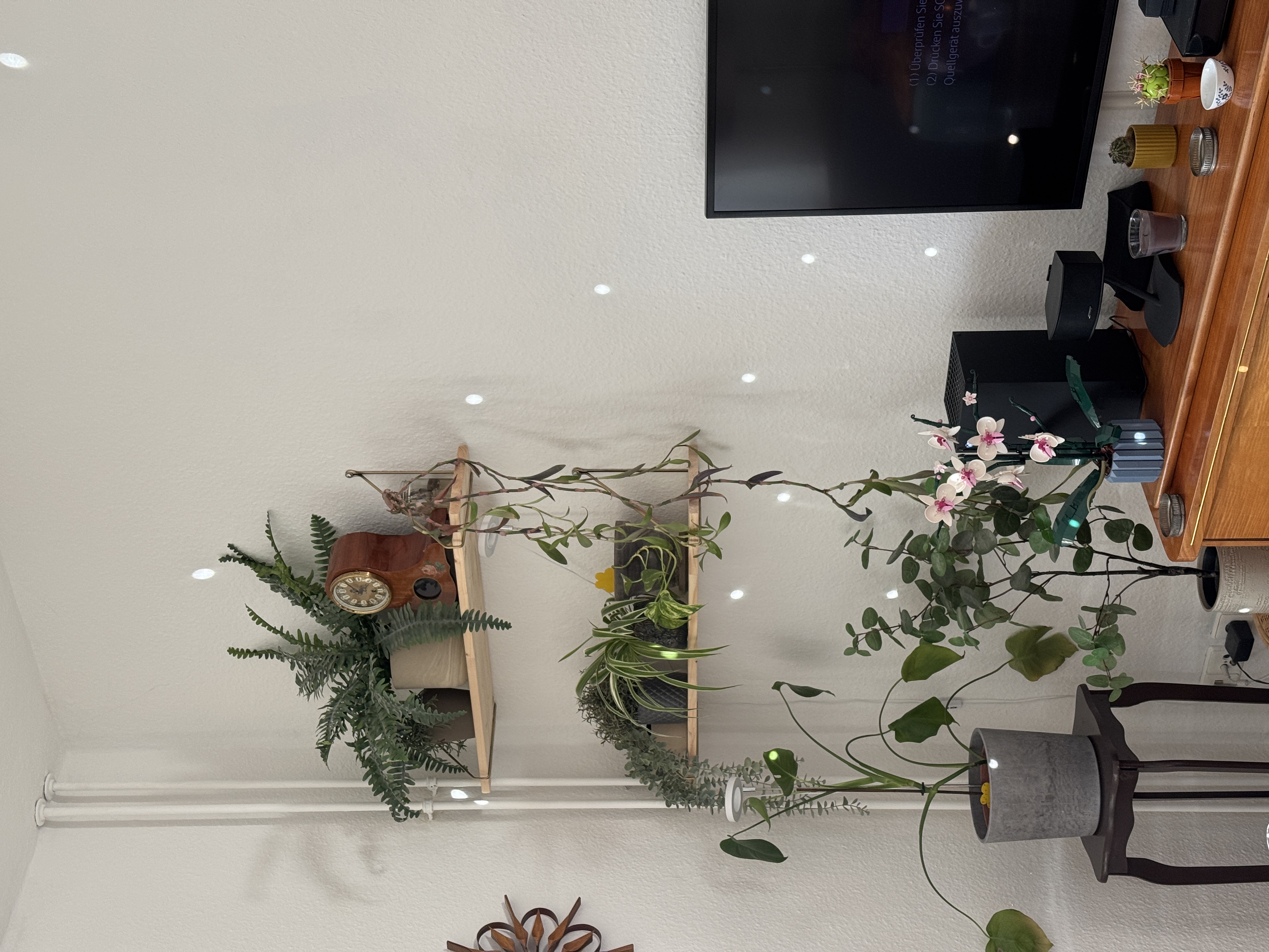 image-19