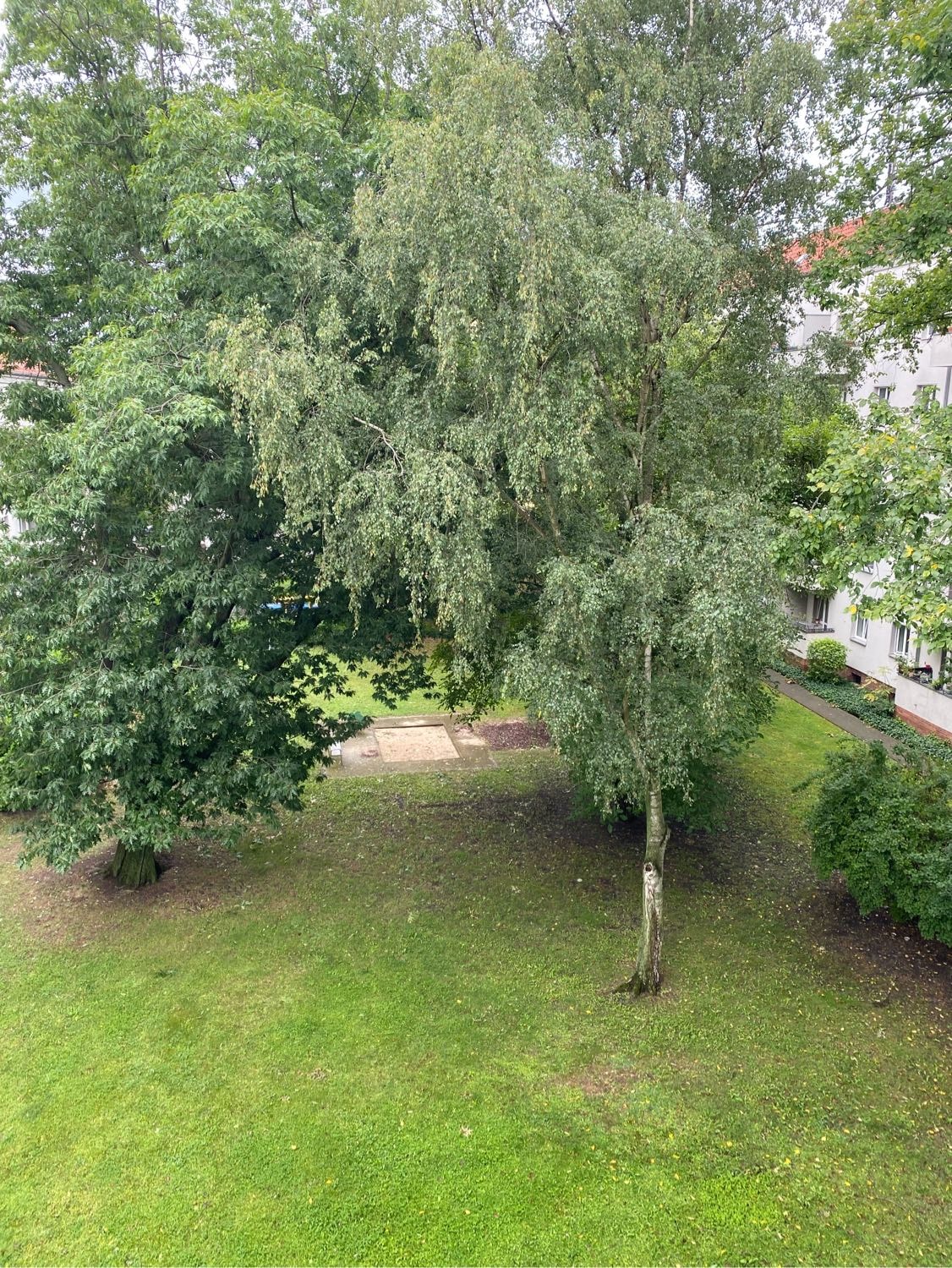 image-22