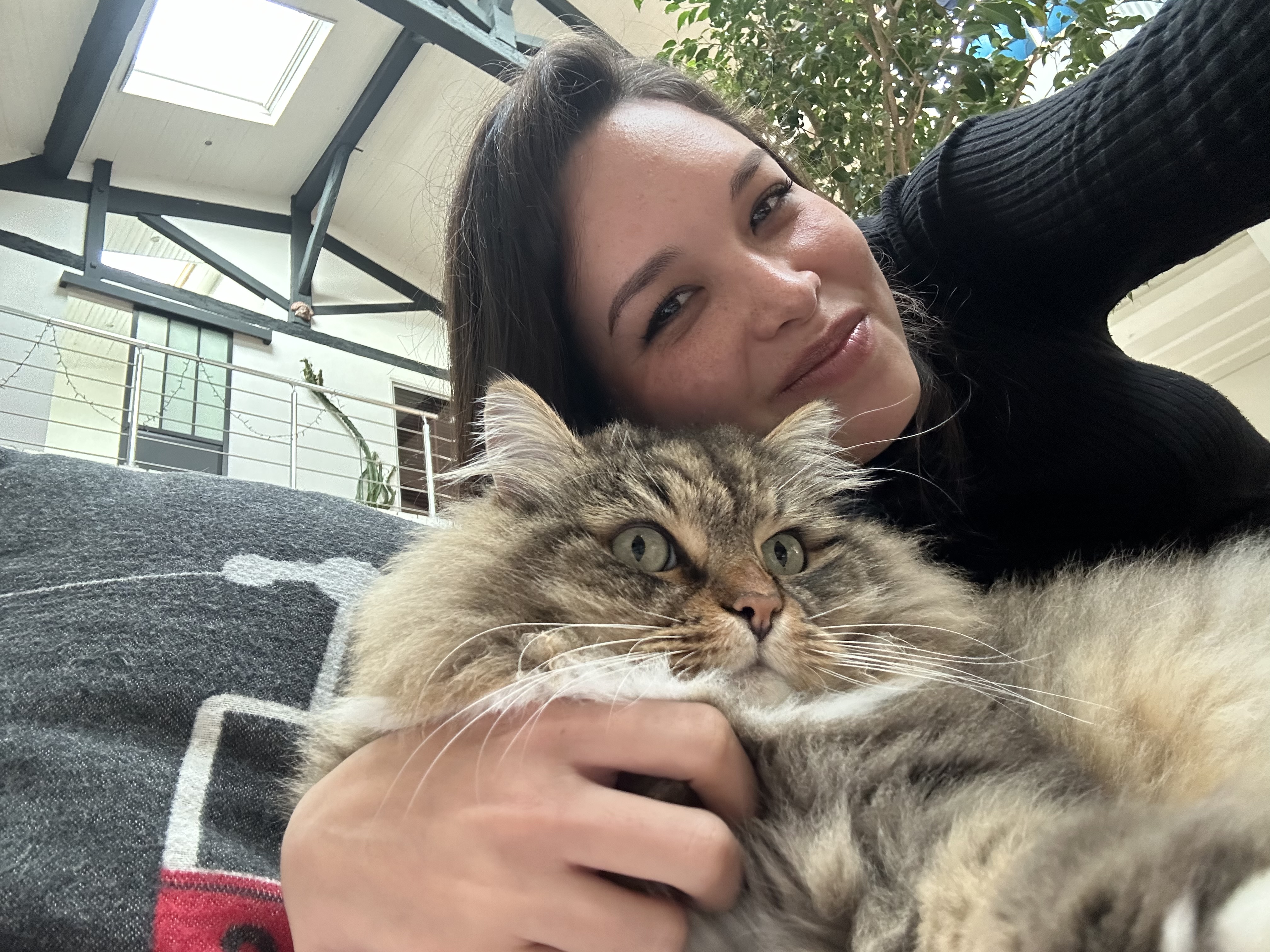 image-0