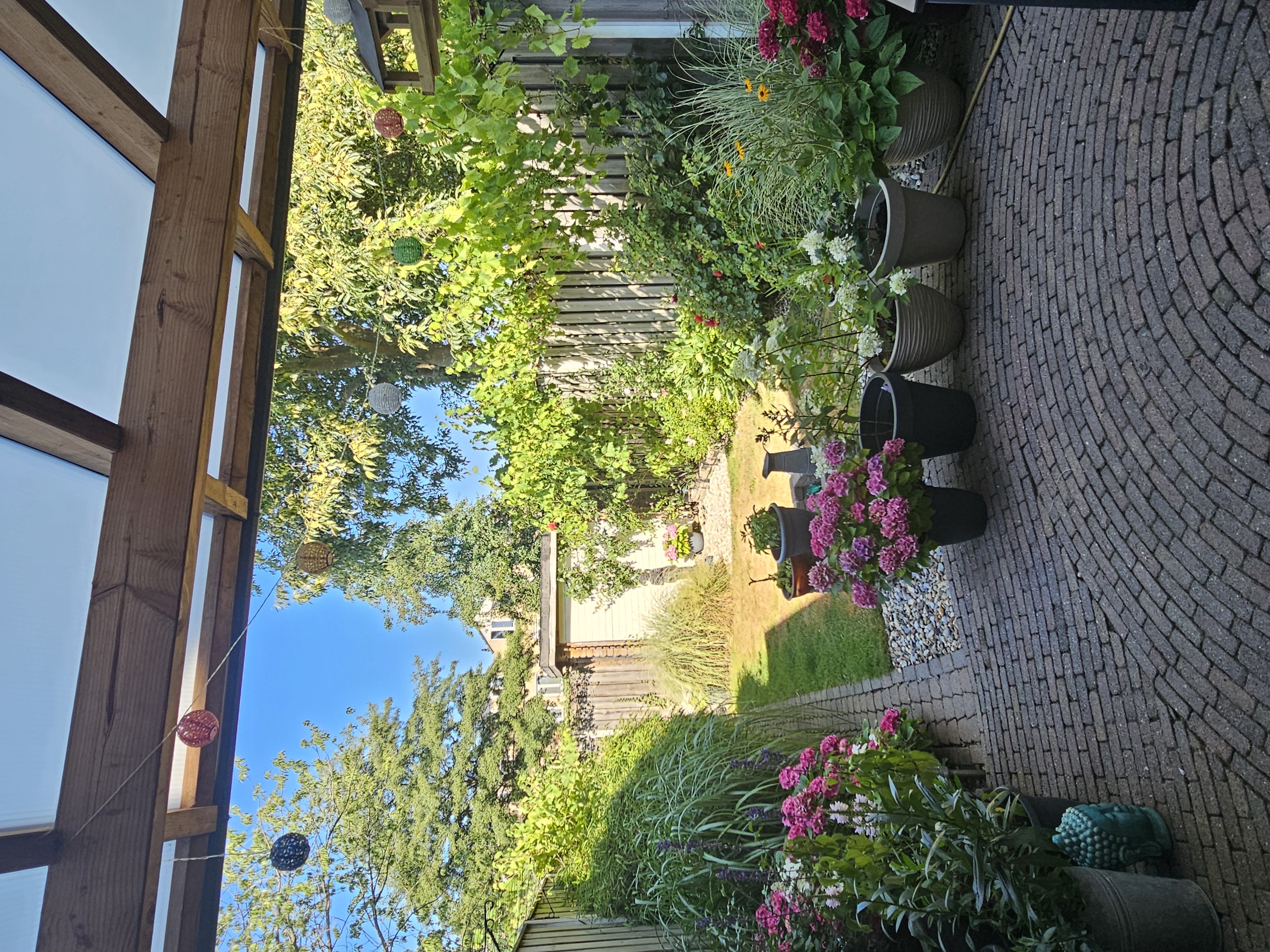 image-15