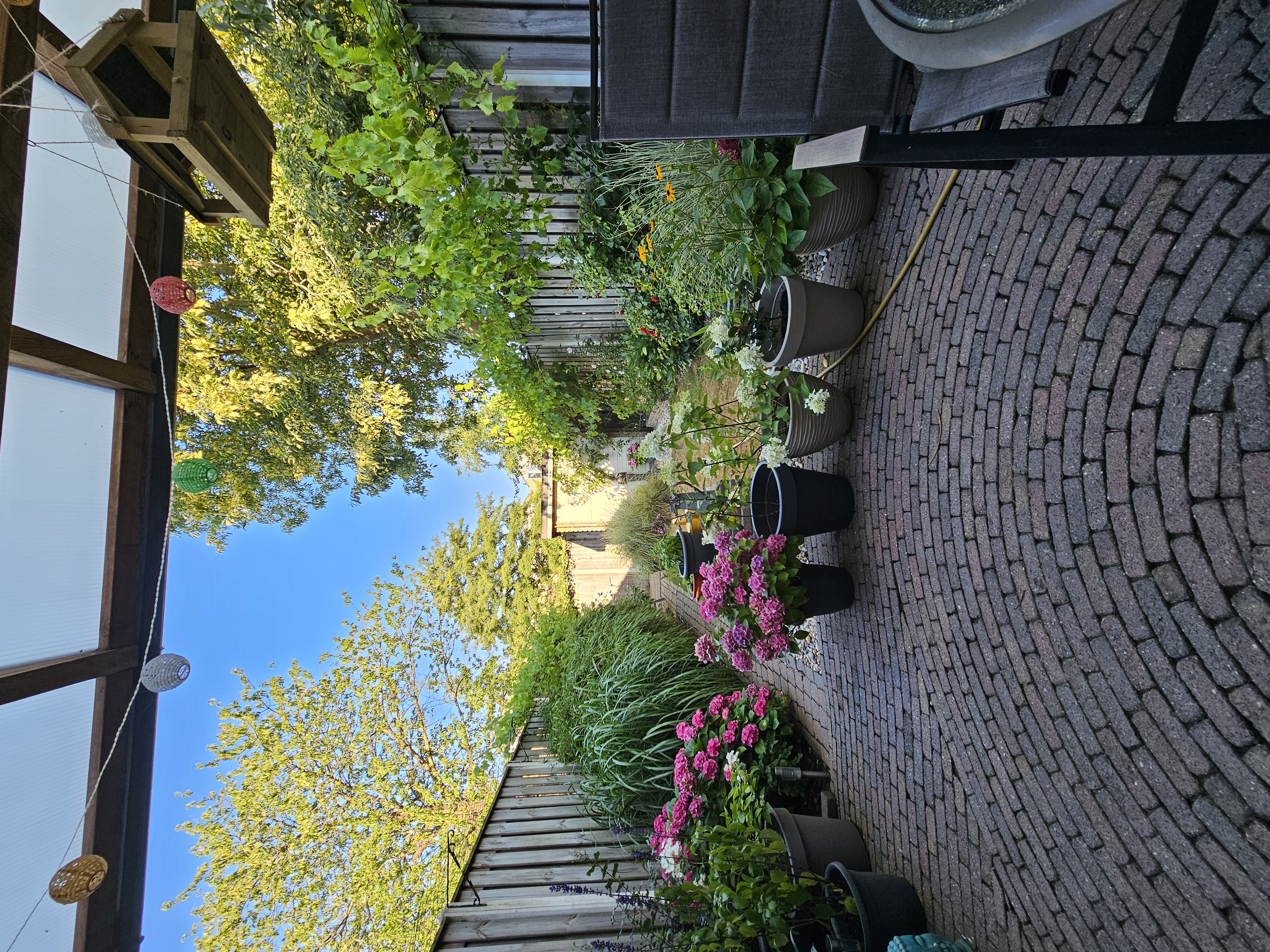 image-14