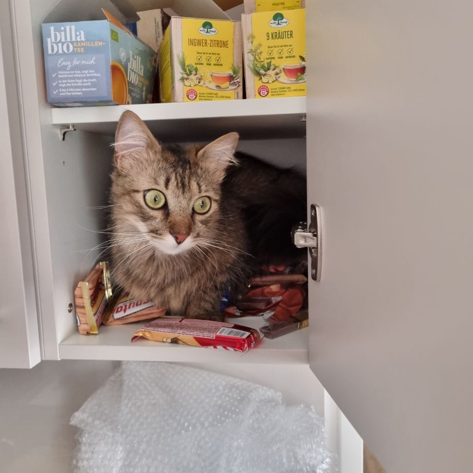 Simba
