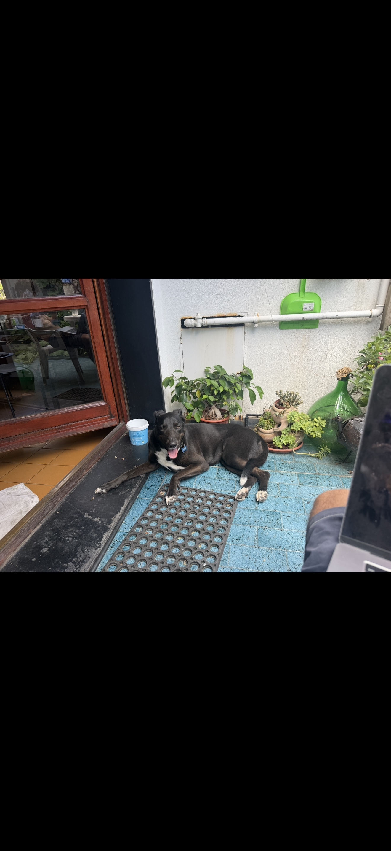 image-7