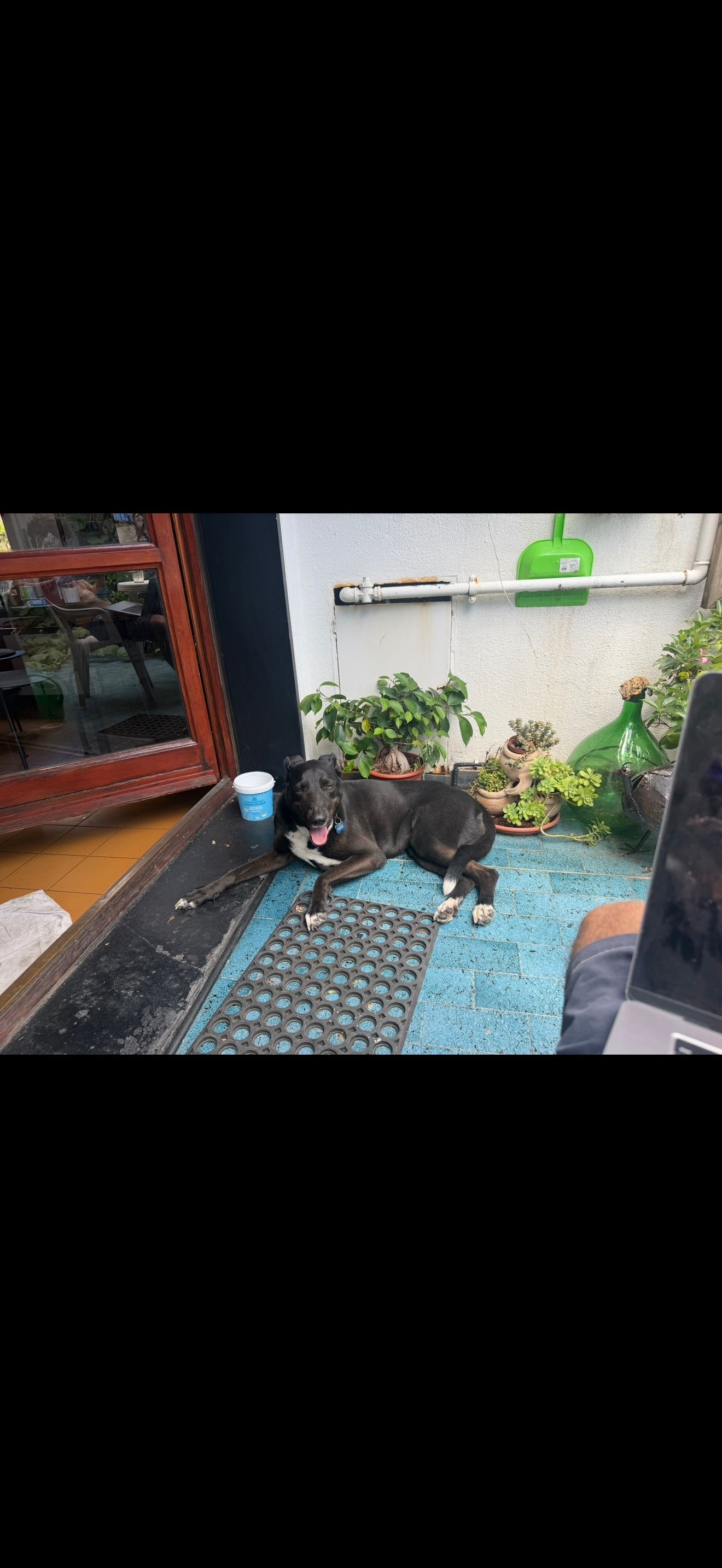 image-7
