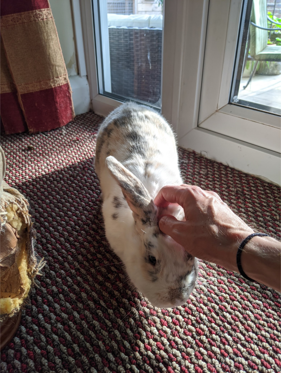 image-11