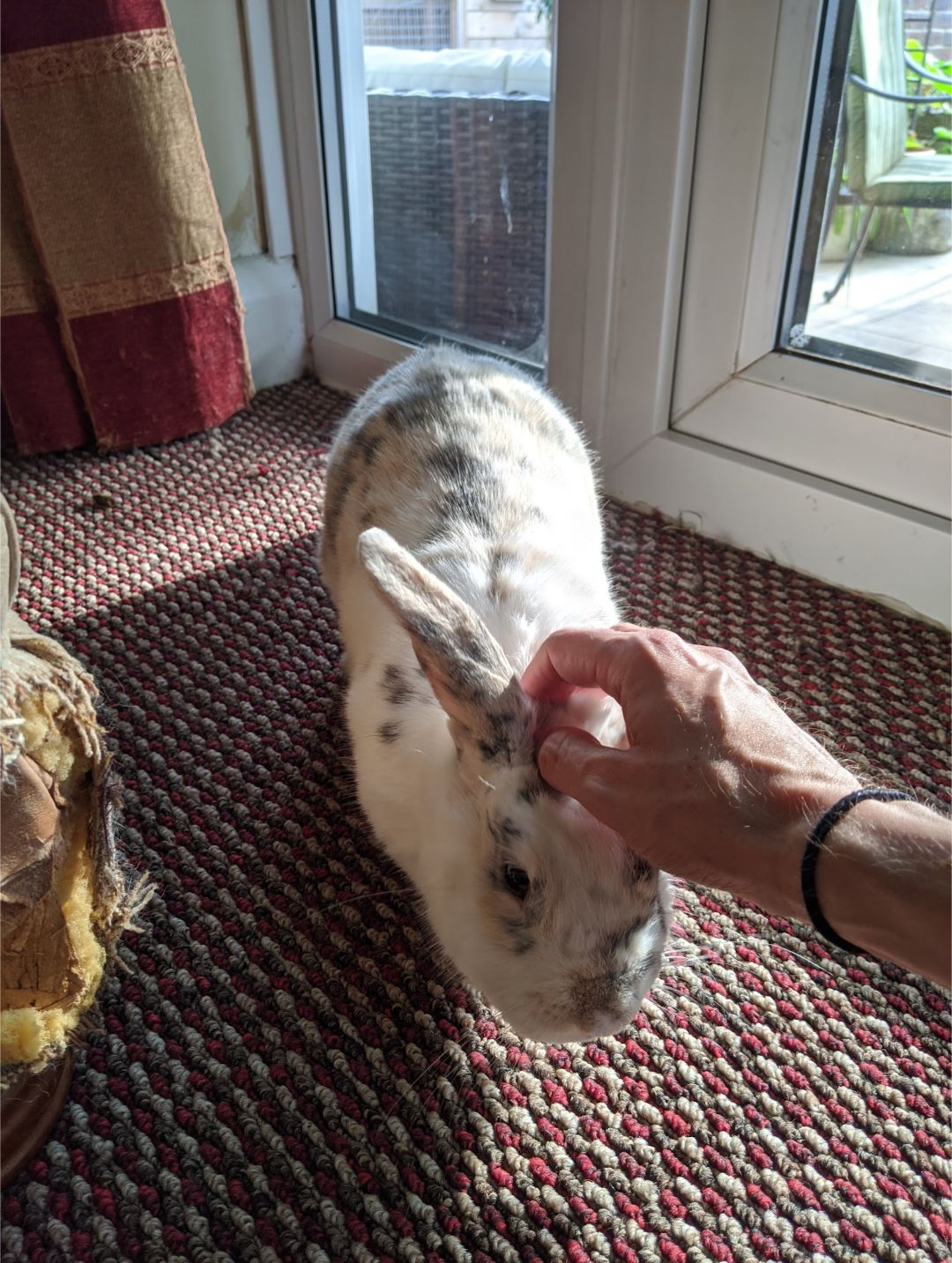 image-11