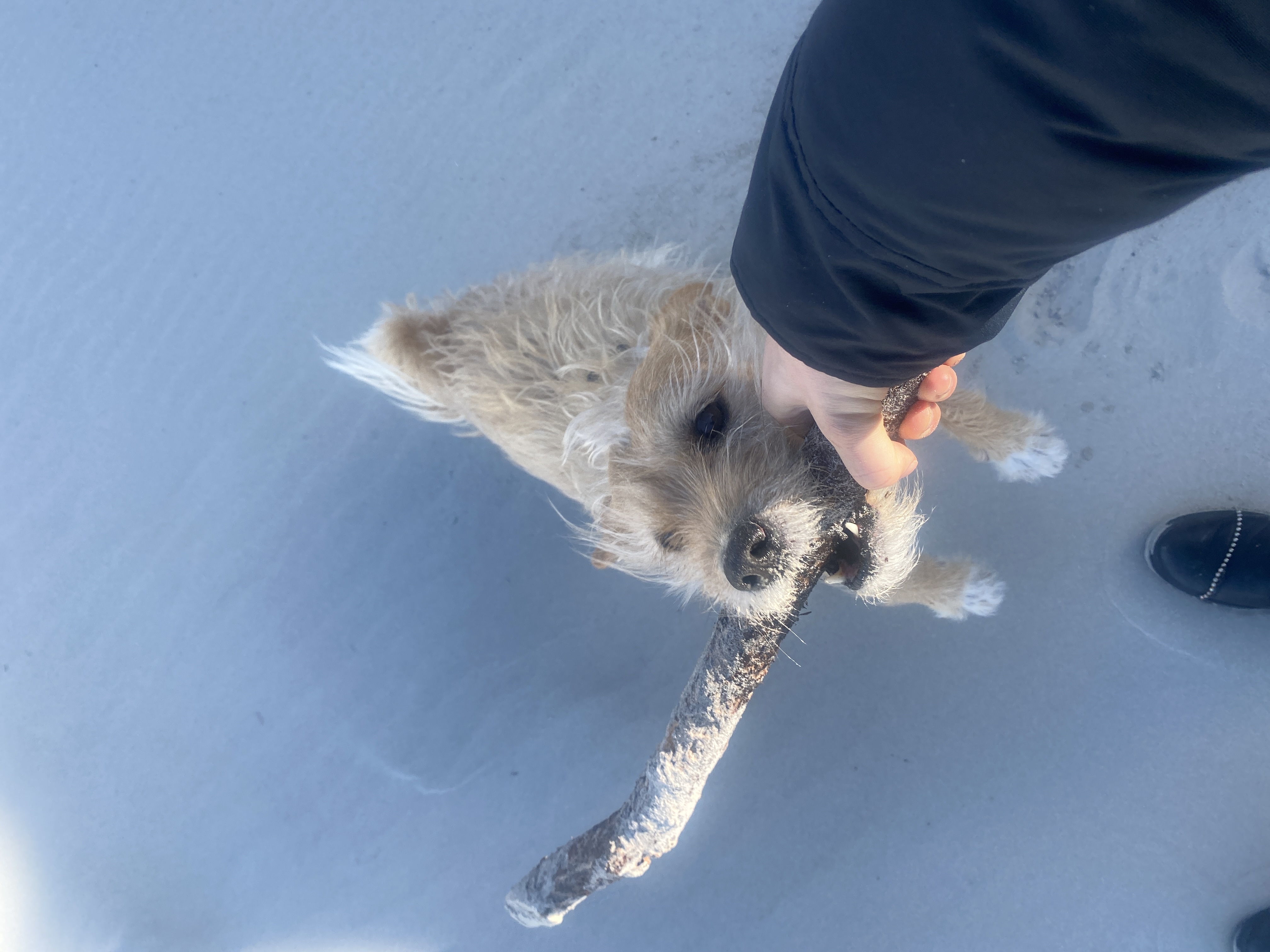 image-6