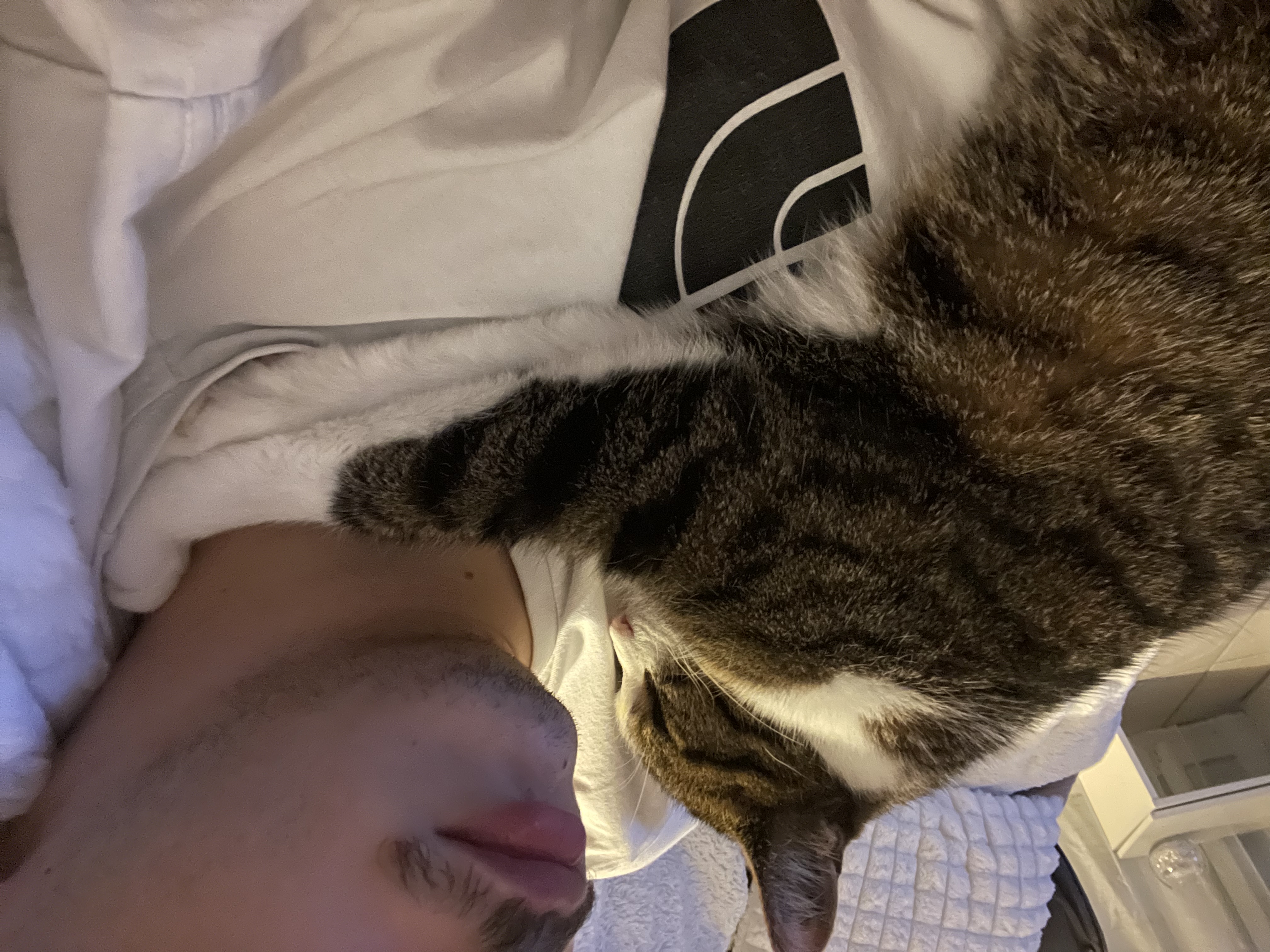 image-8