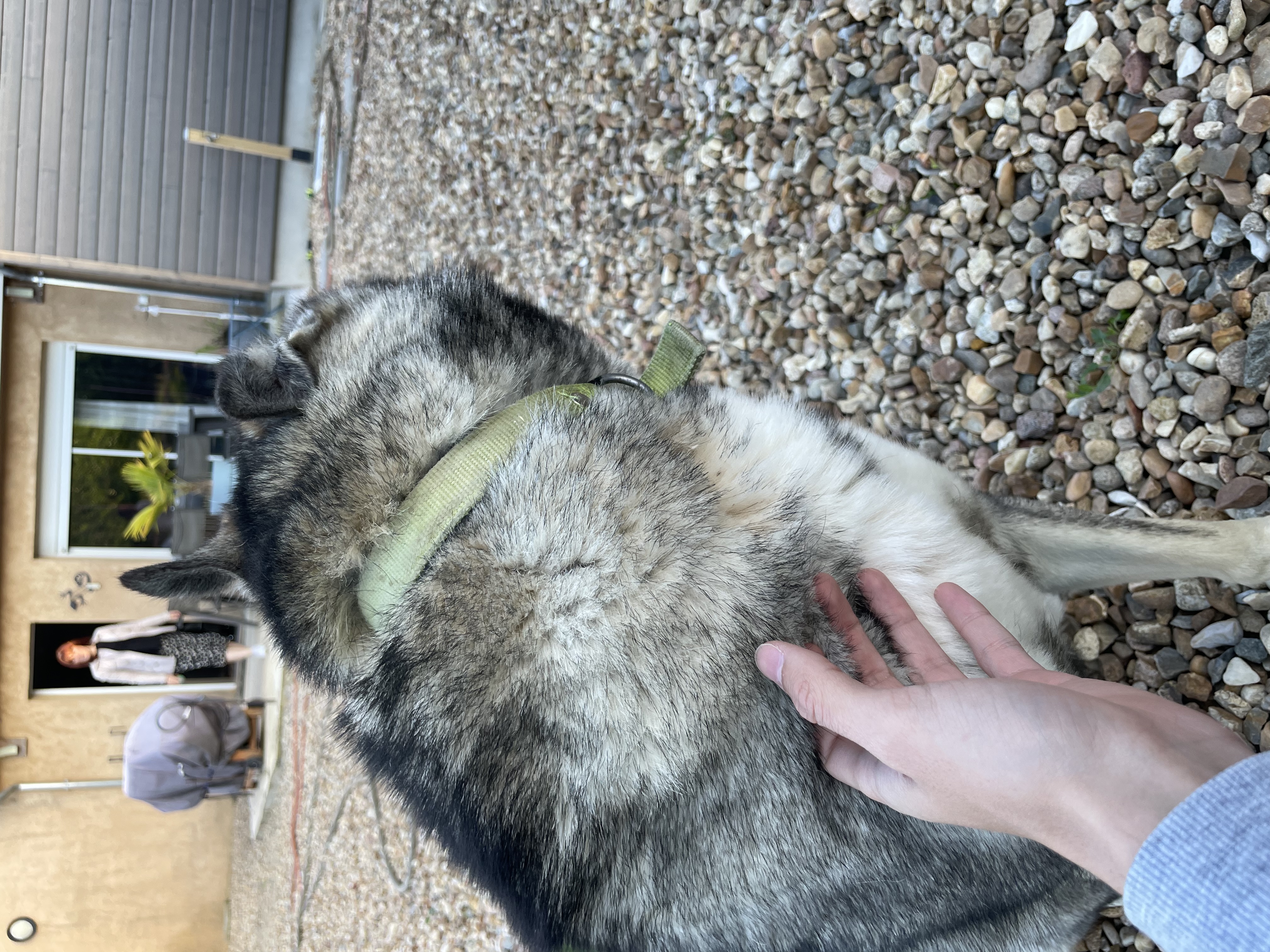 image-9