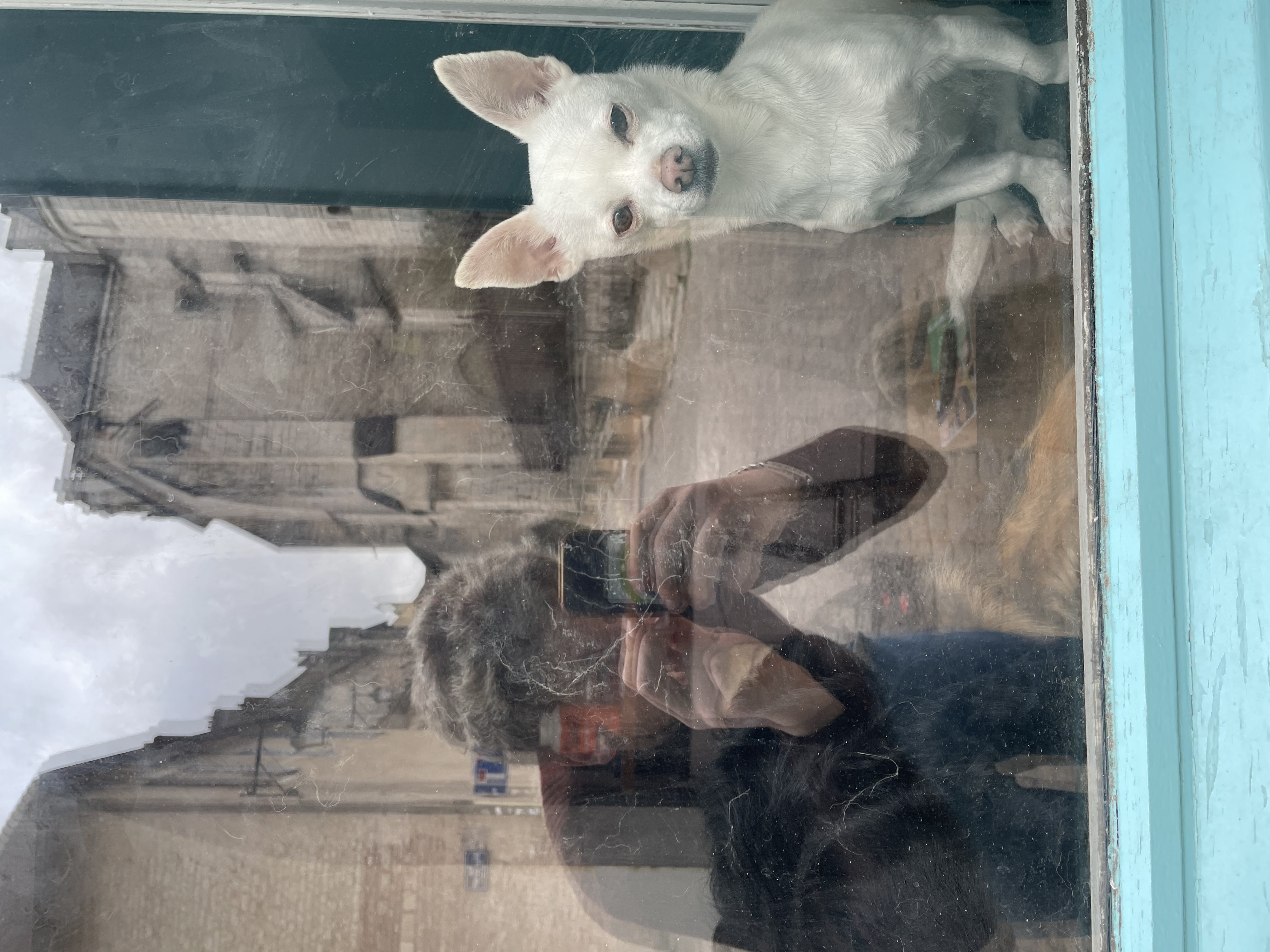 image-15