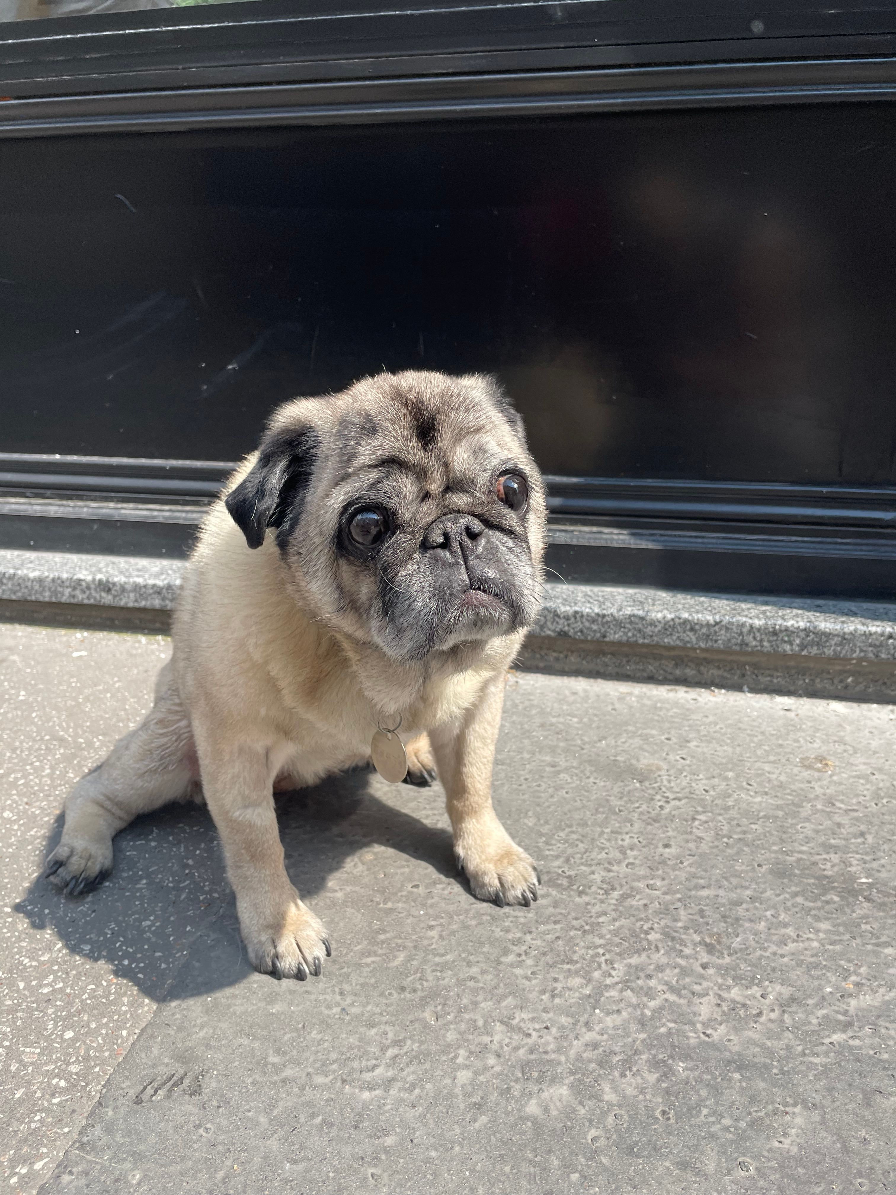 image-12