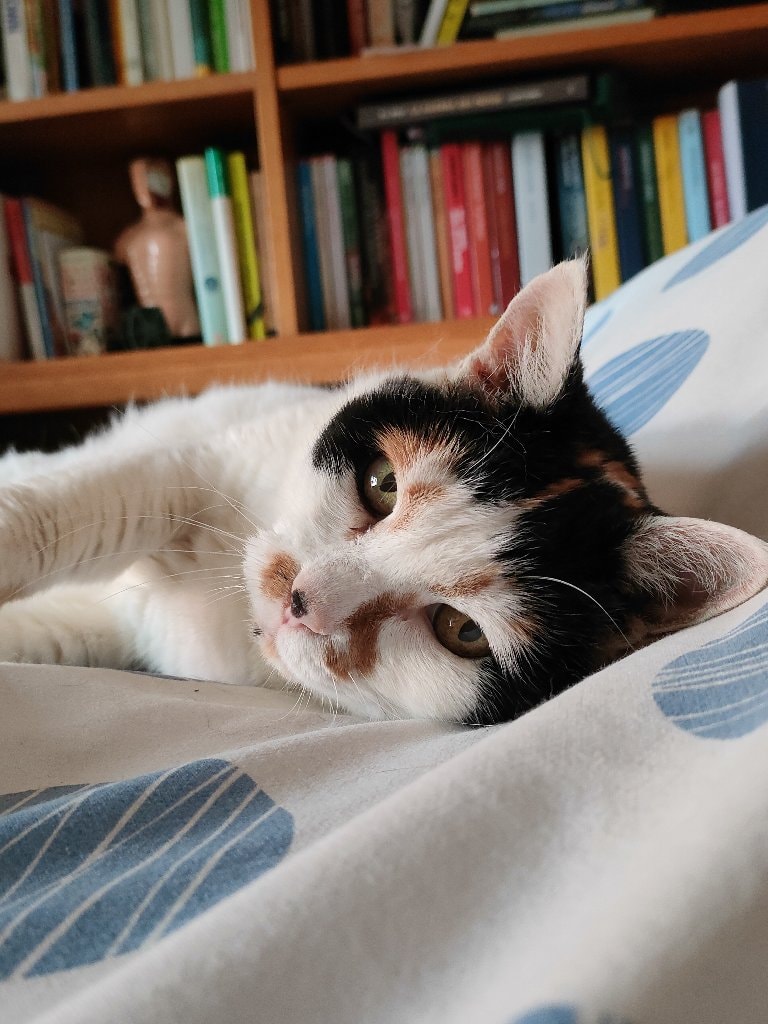 Lucy