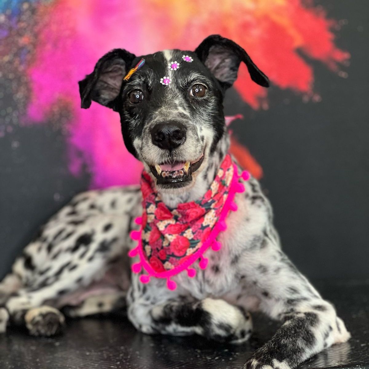 Luna
