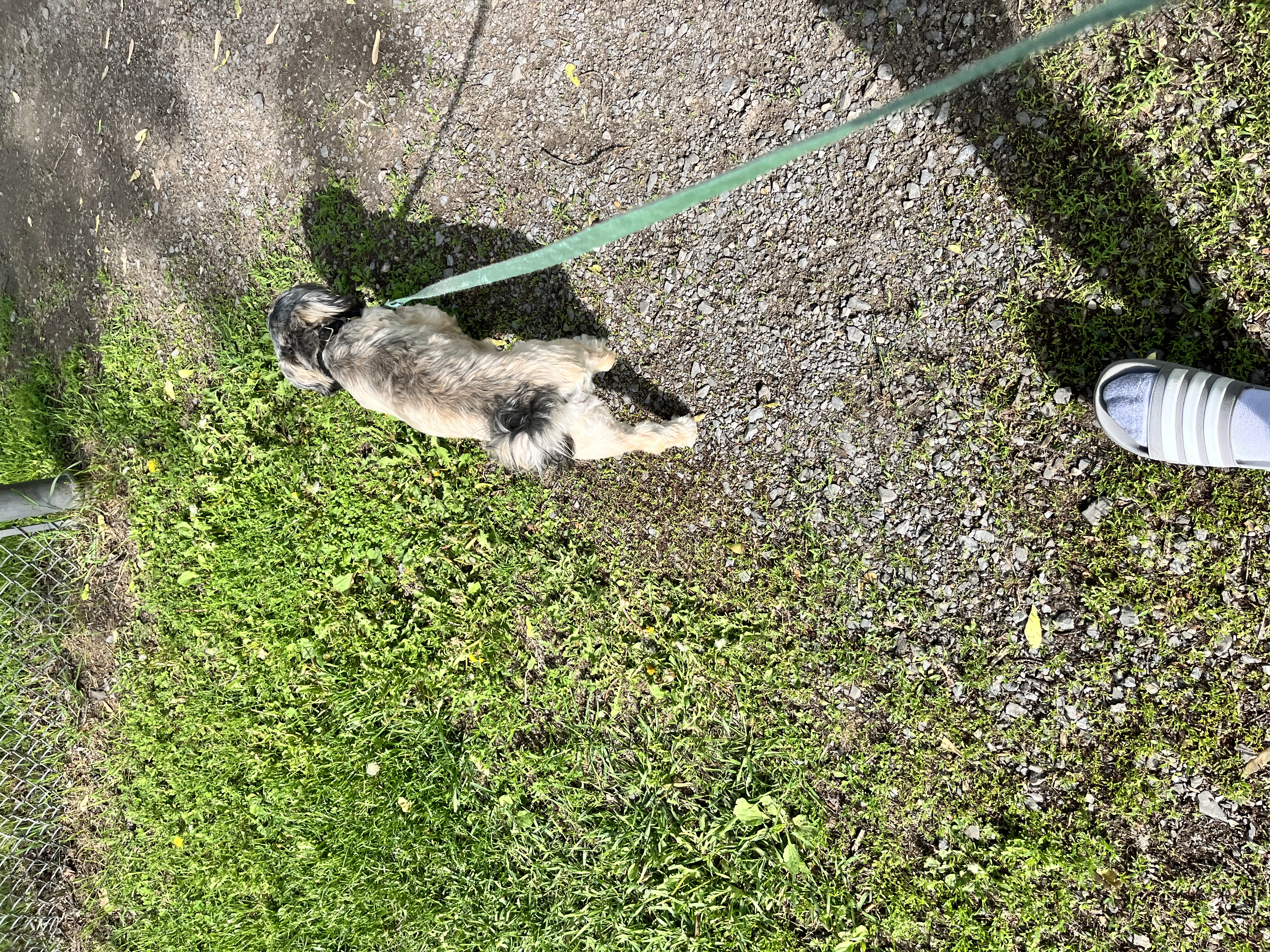 image-11