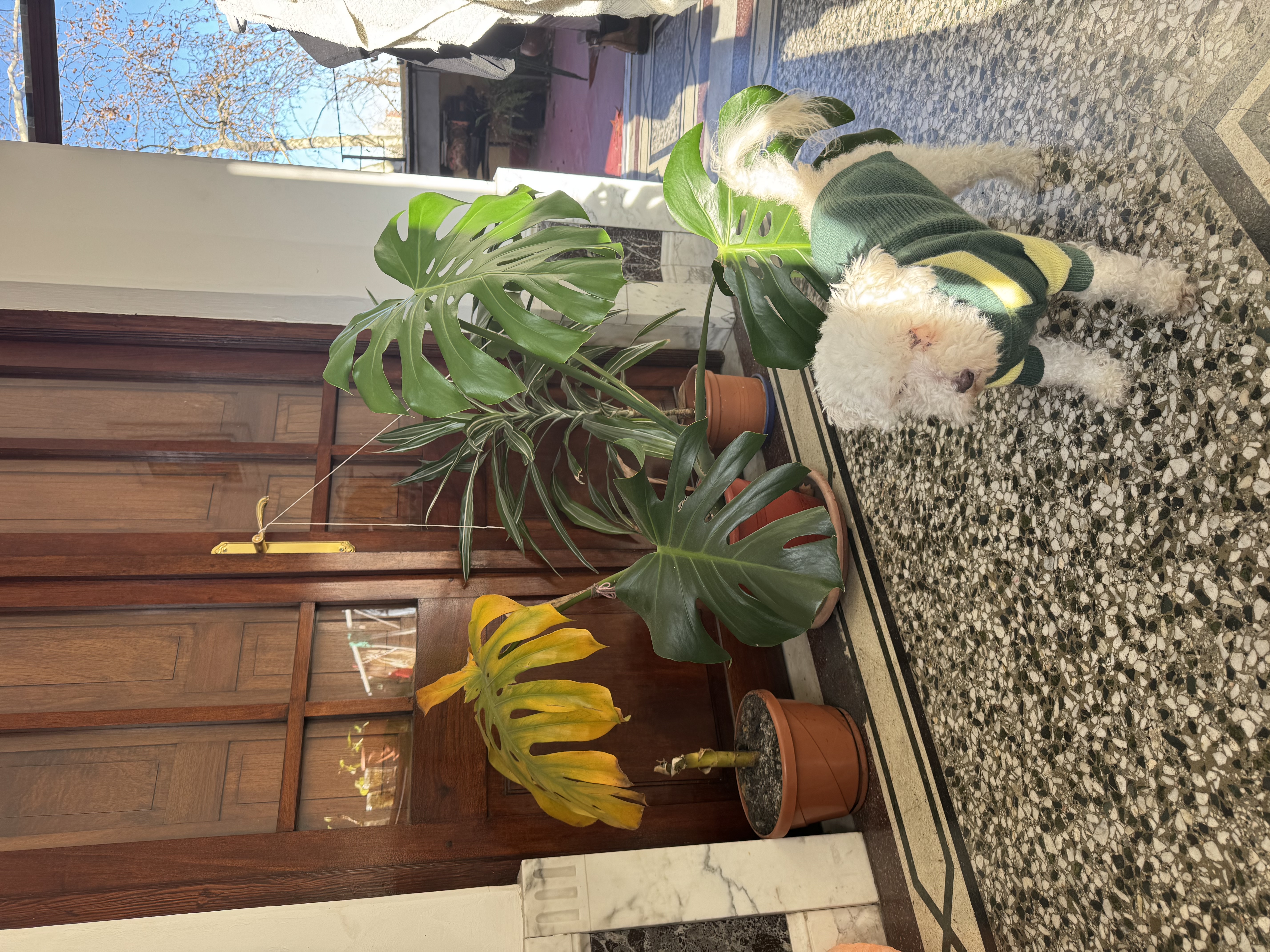 image-13