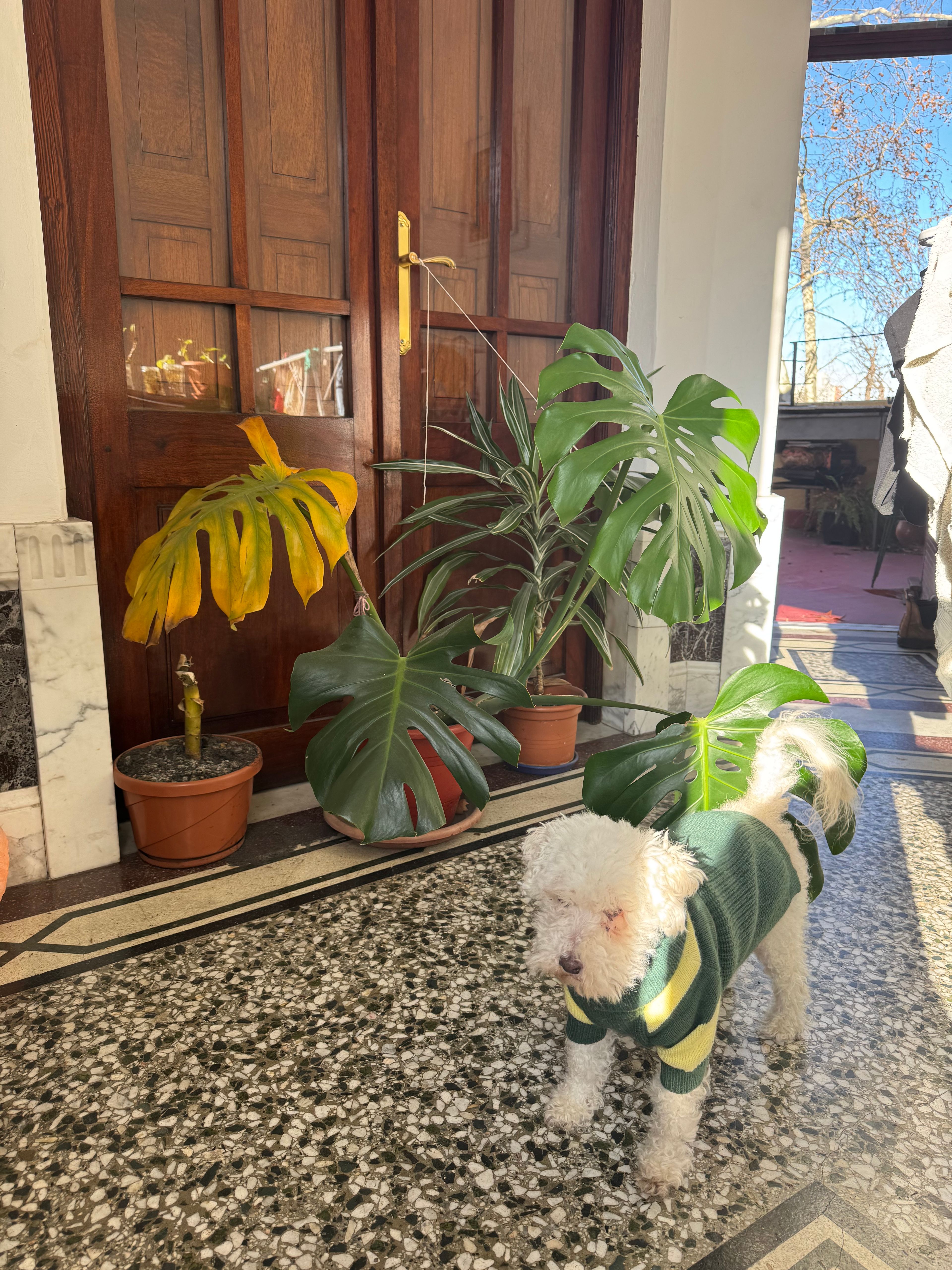 image-13