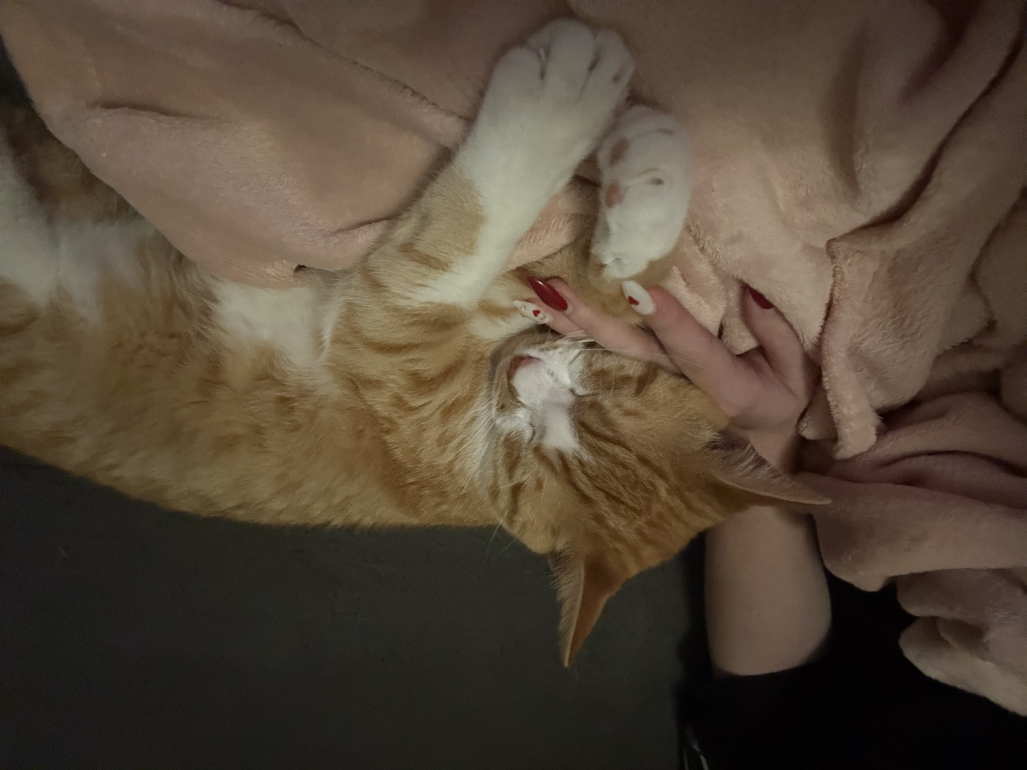 image-11