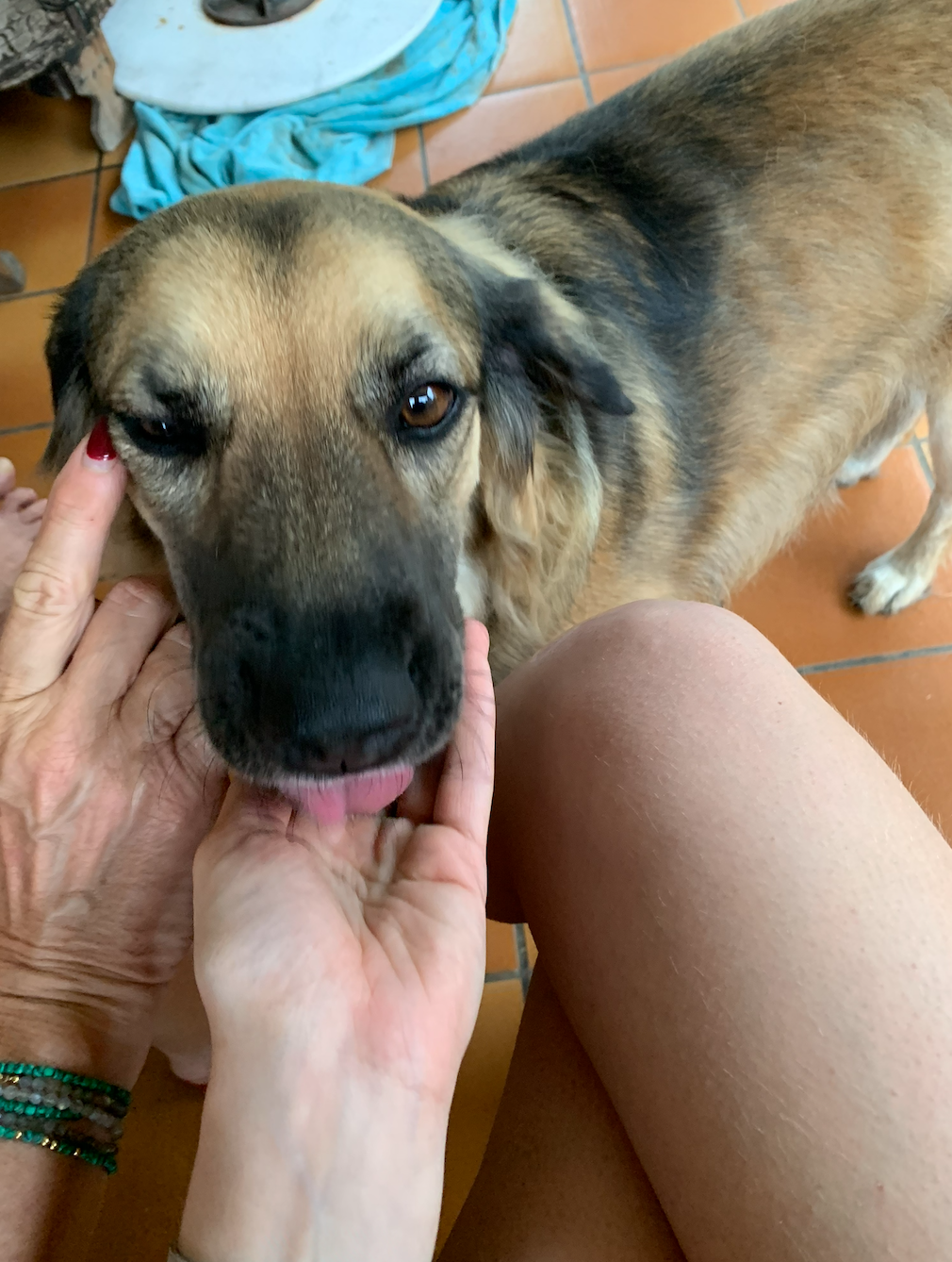 image-6