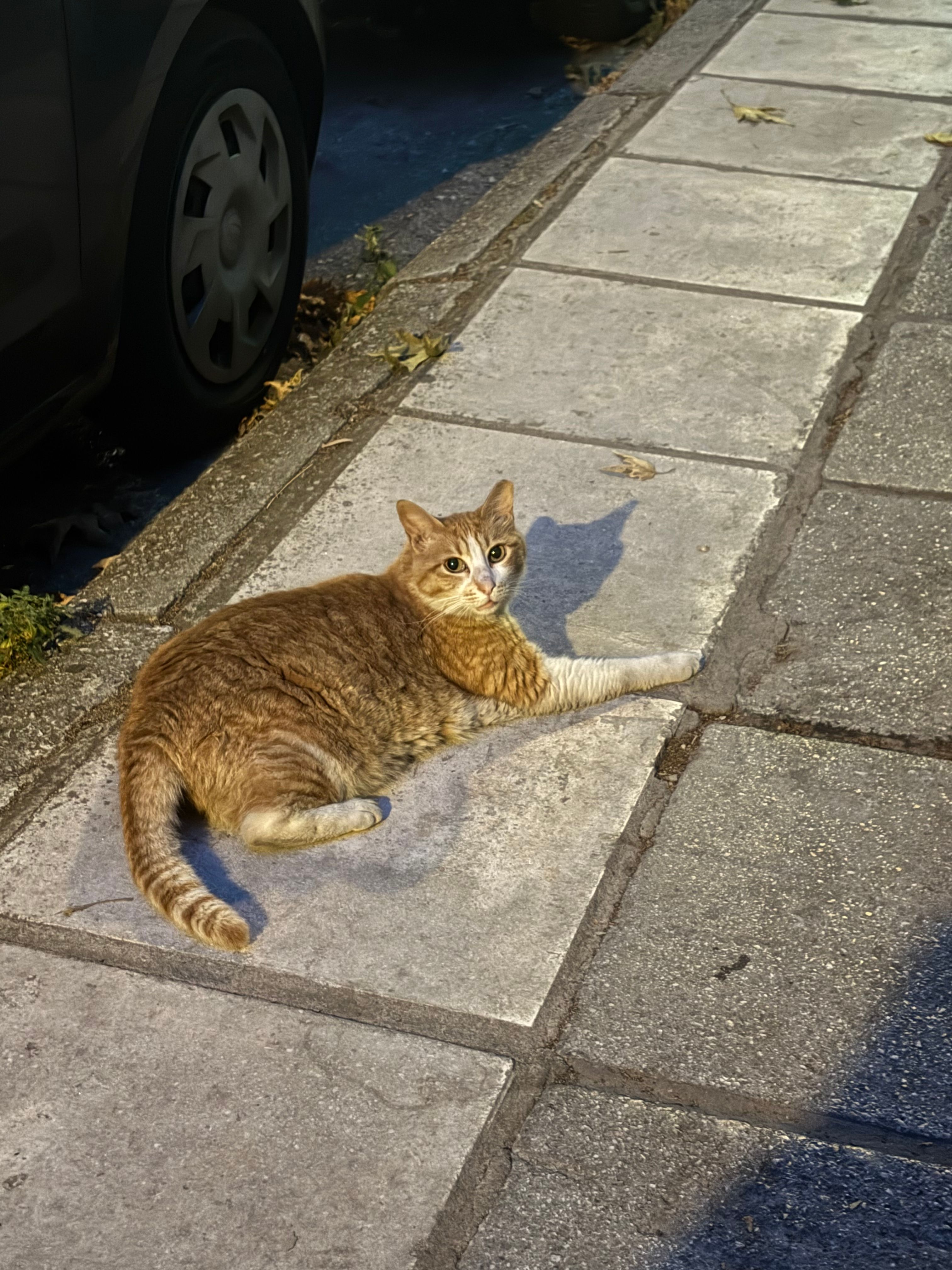 image-14