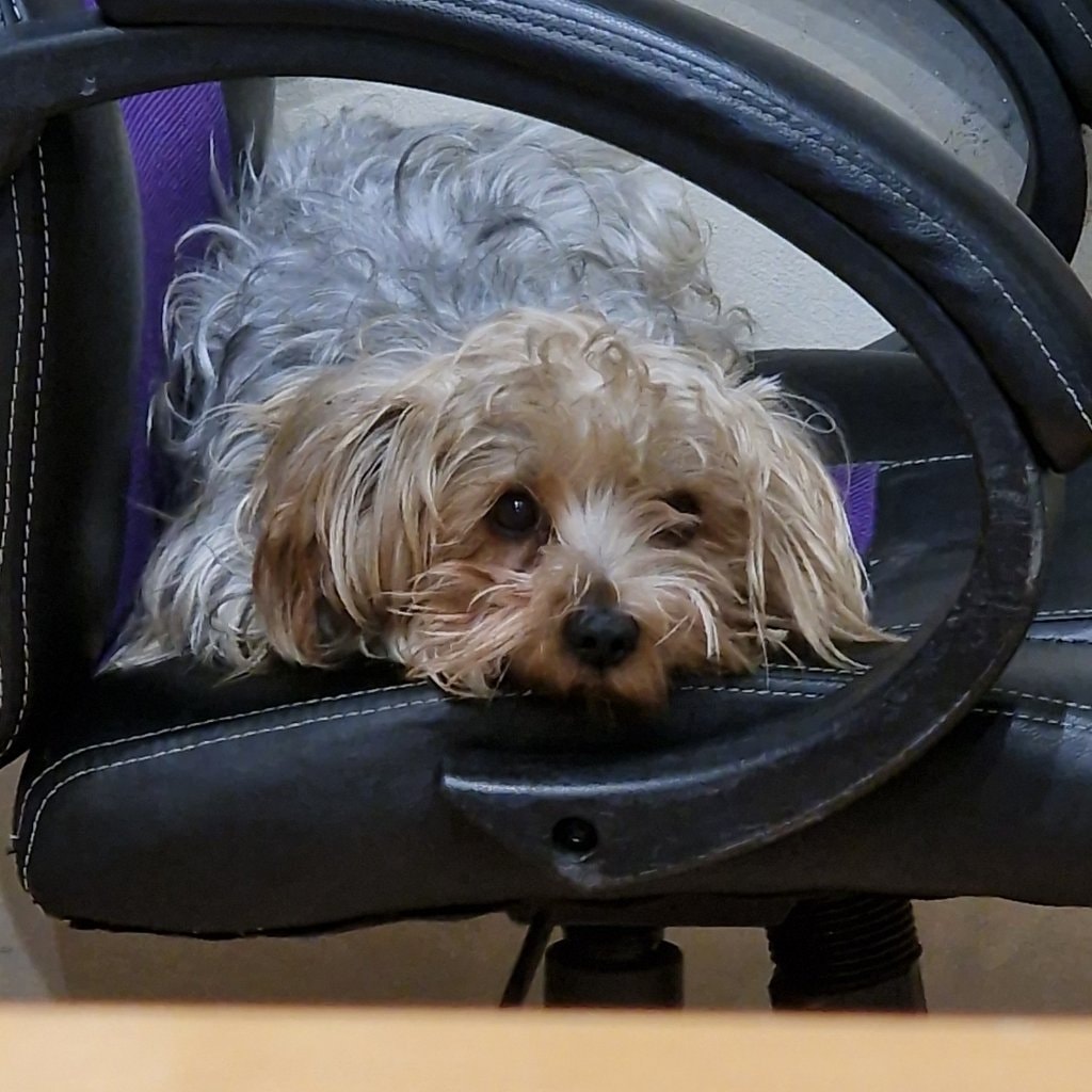 Ray