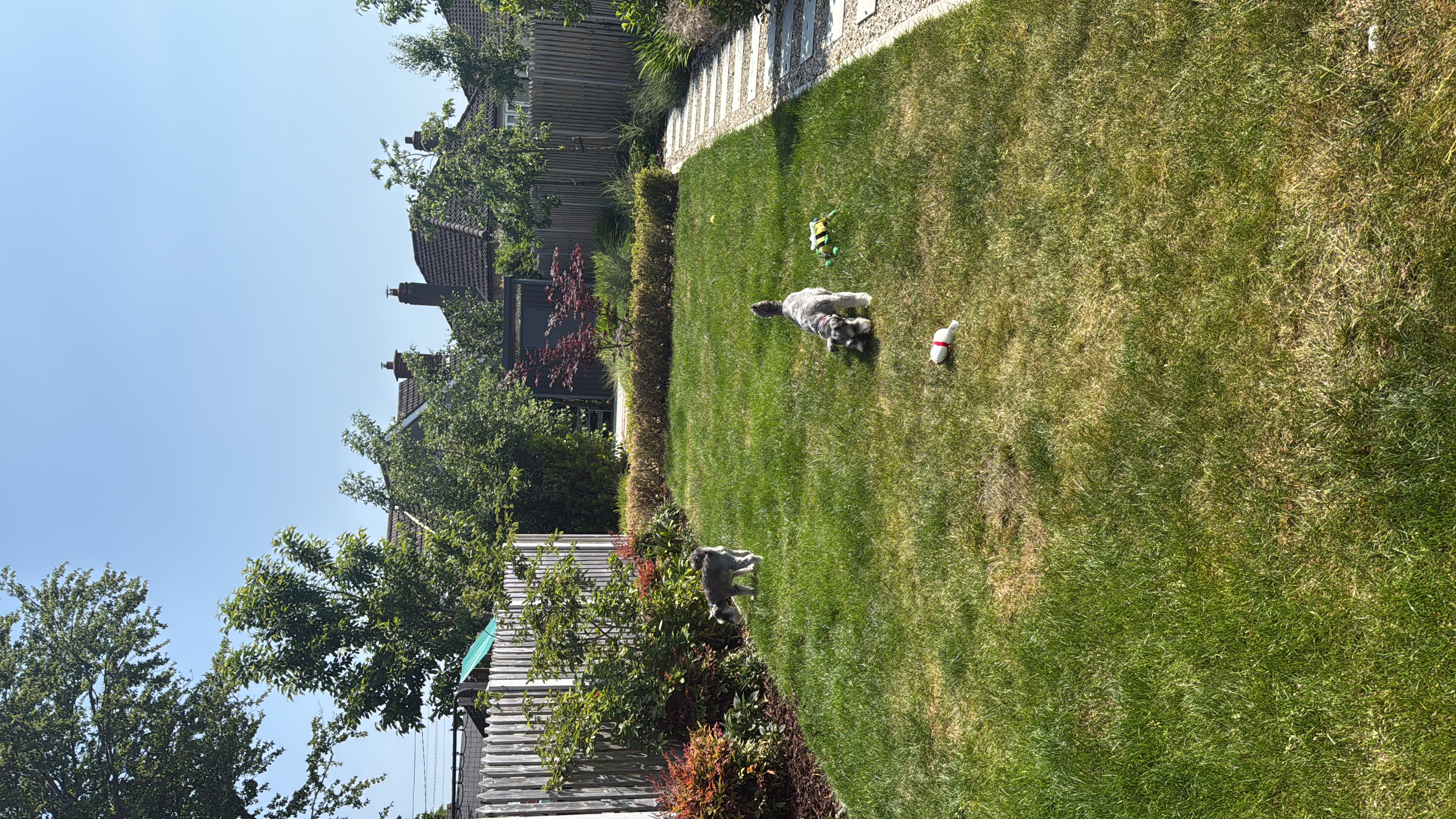 image-10