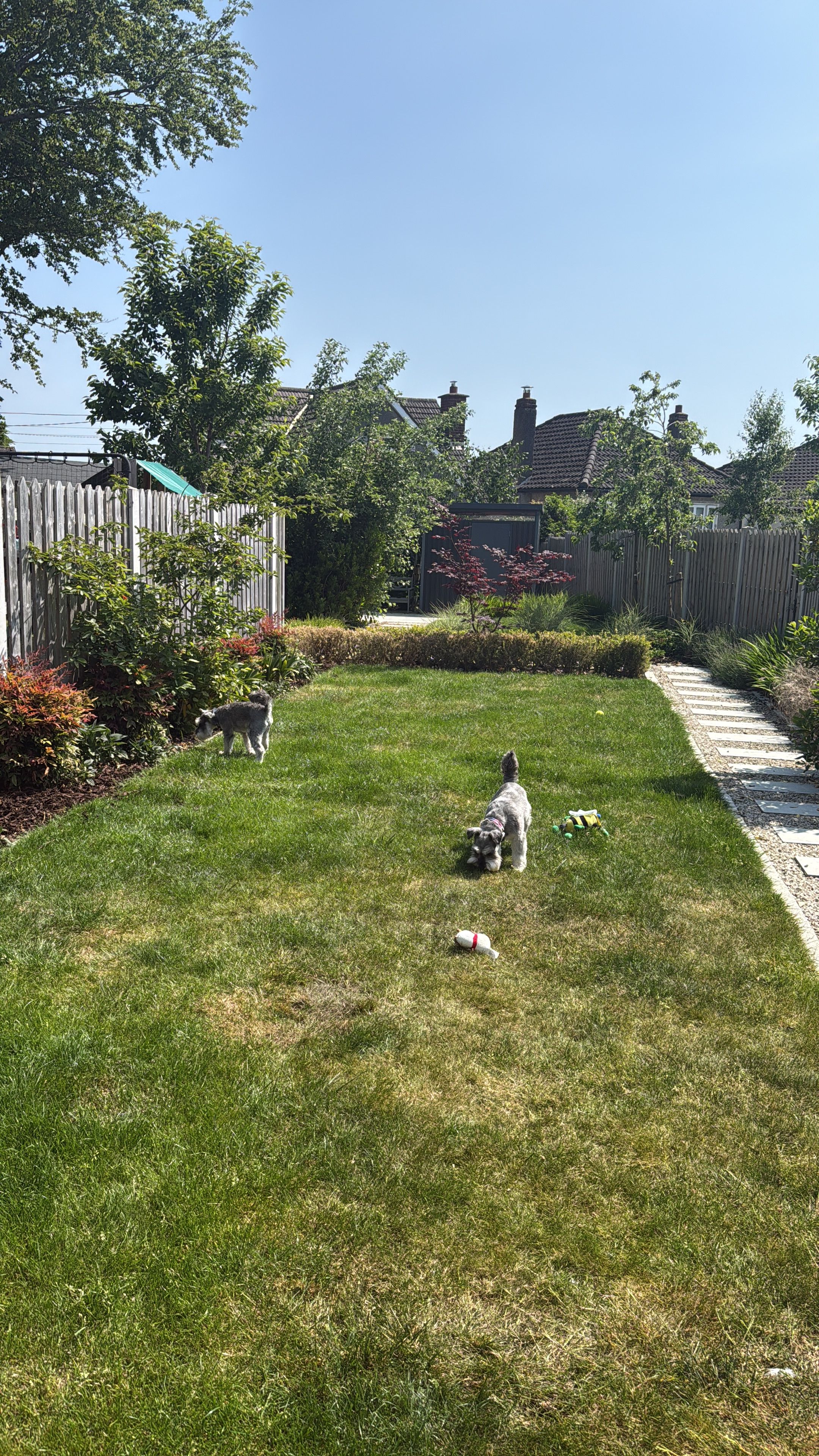 image-10