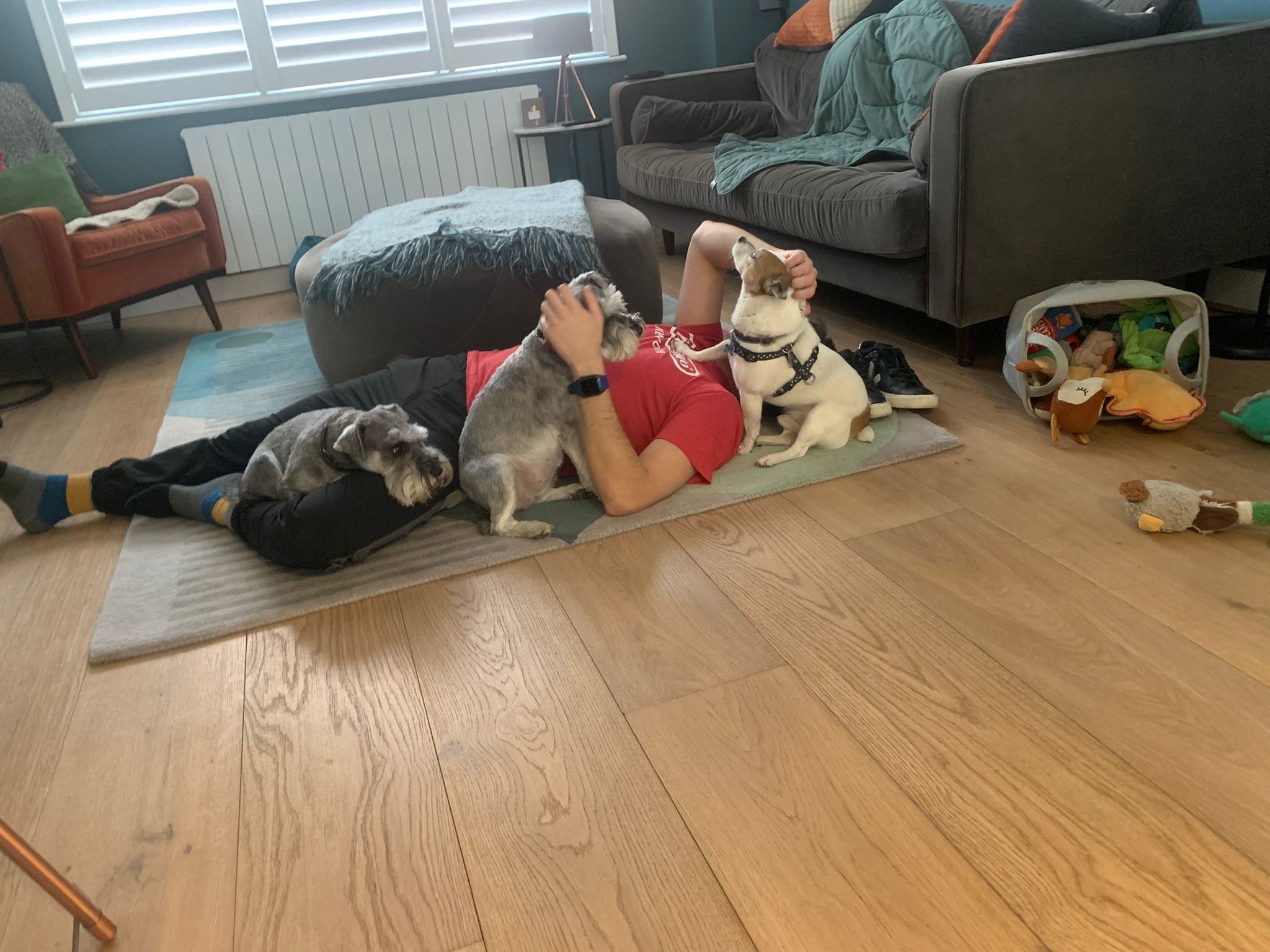 image-10