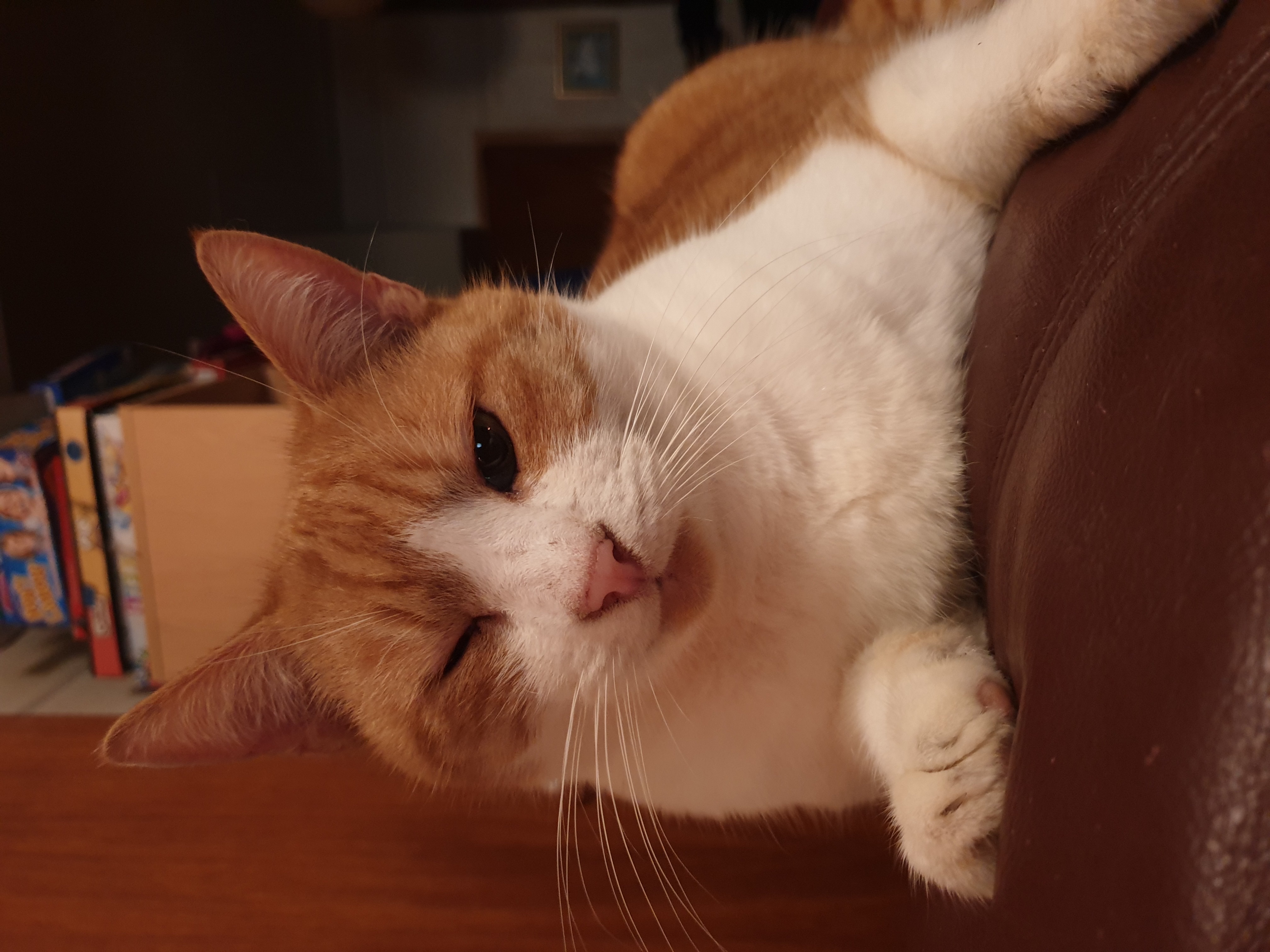 image-5