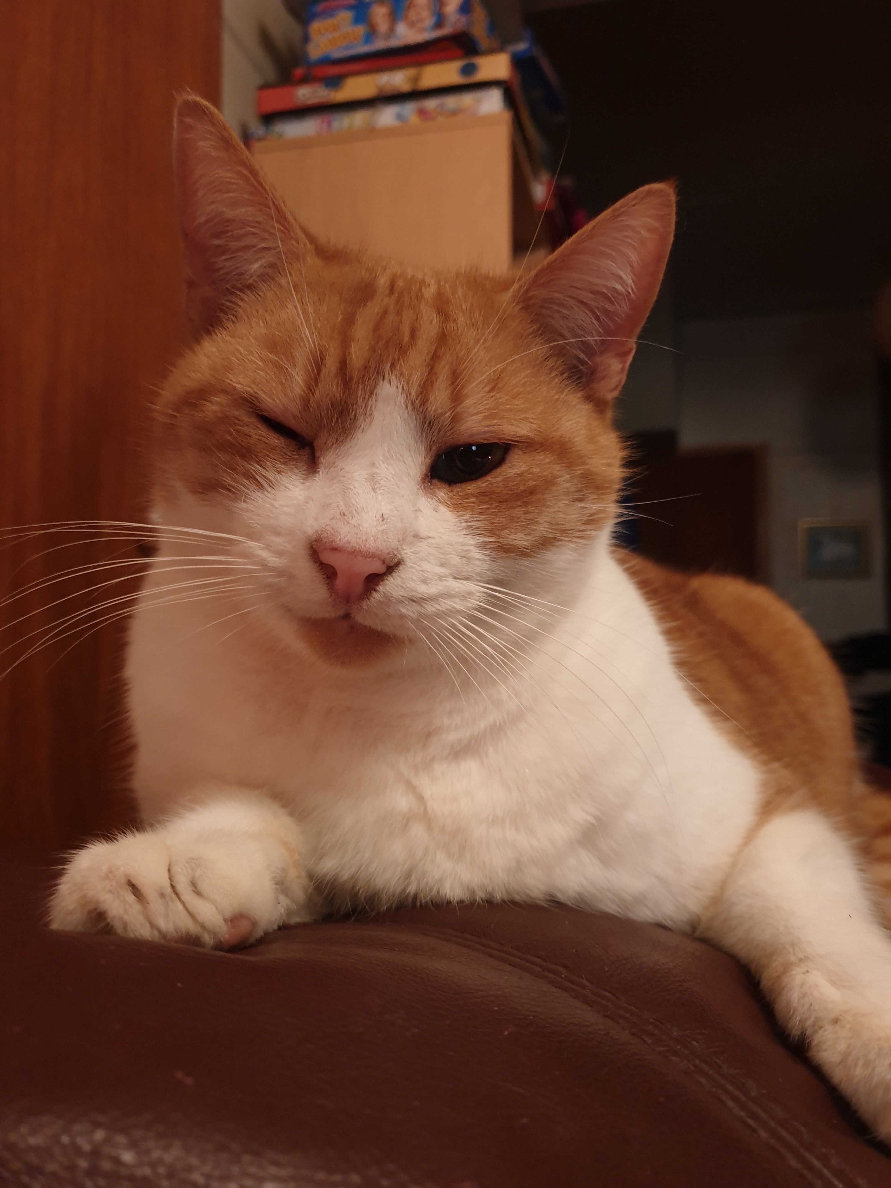 image-5