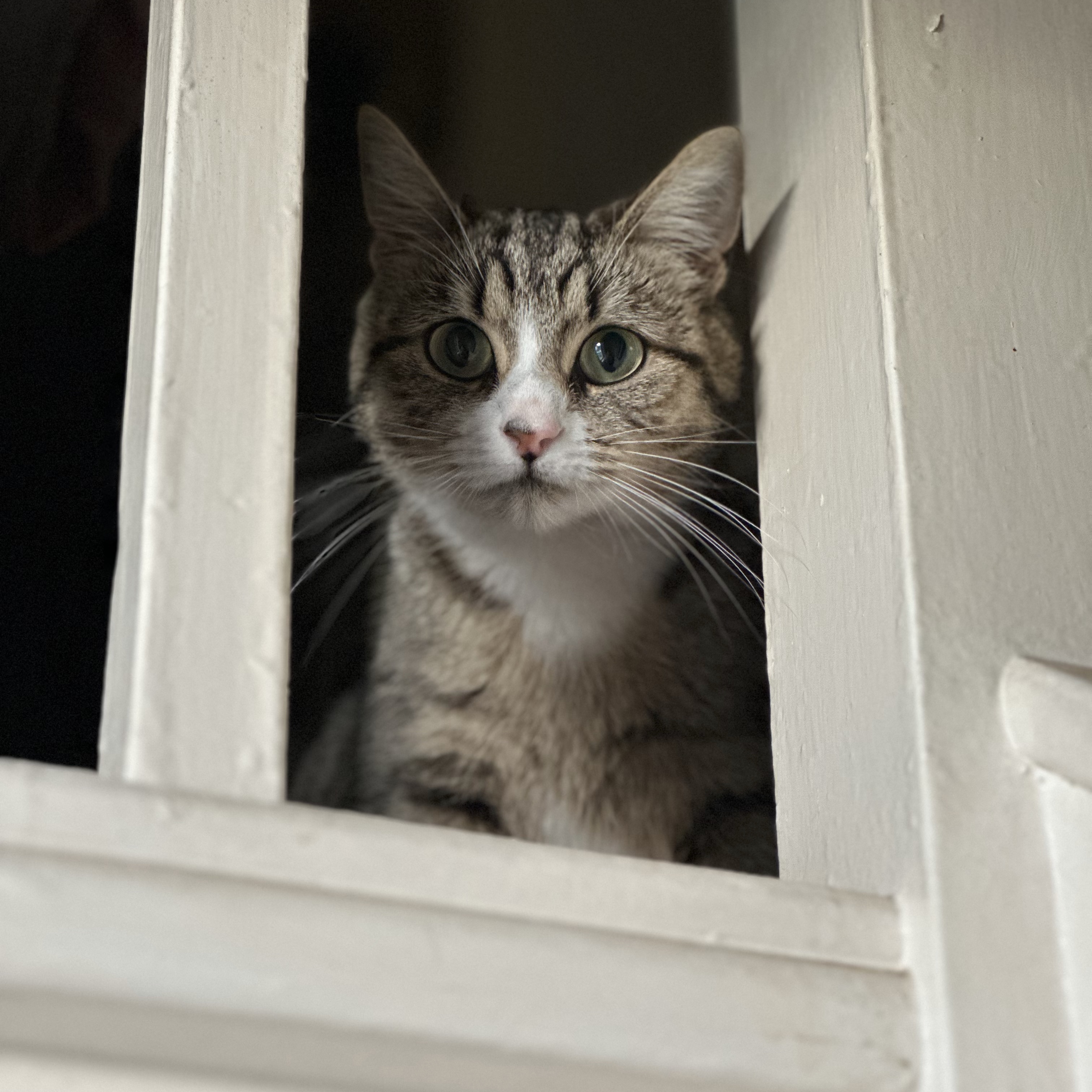 Mia